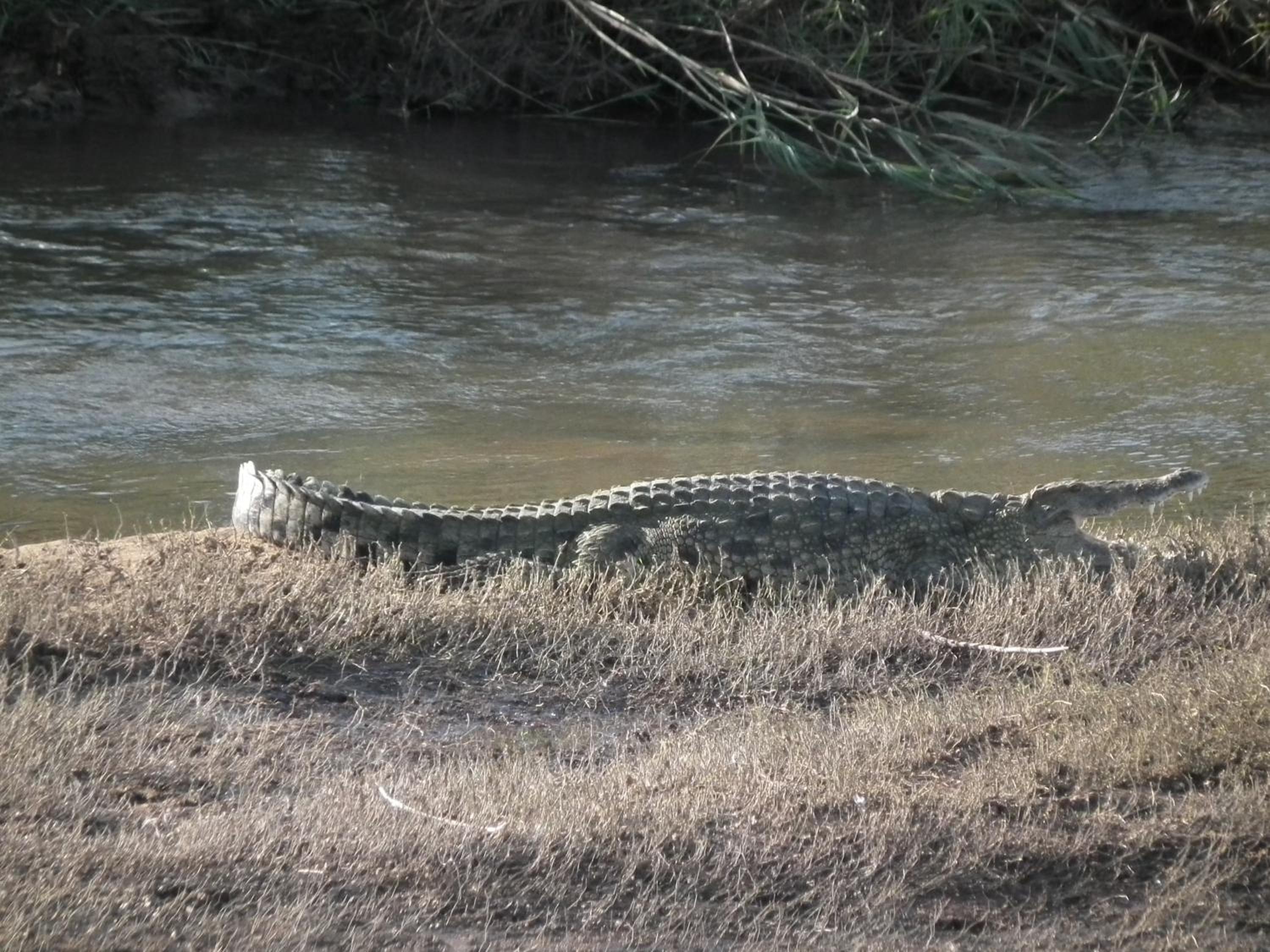 Rio Vista Lodge
