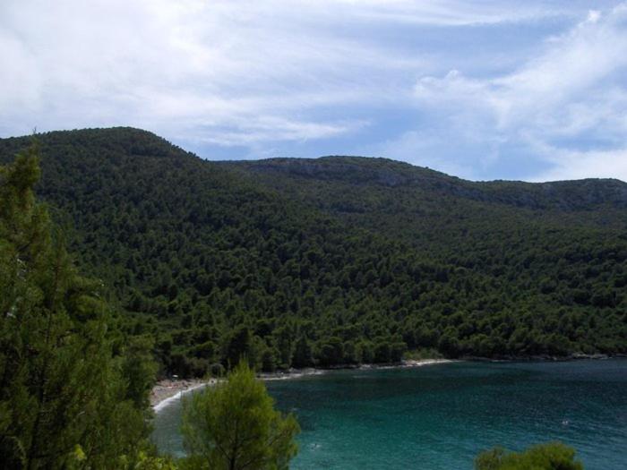 Photo 44