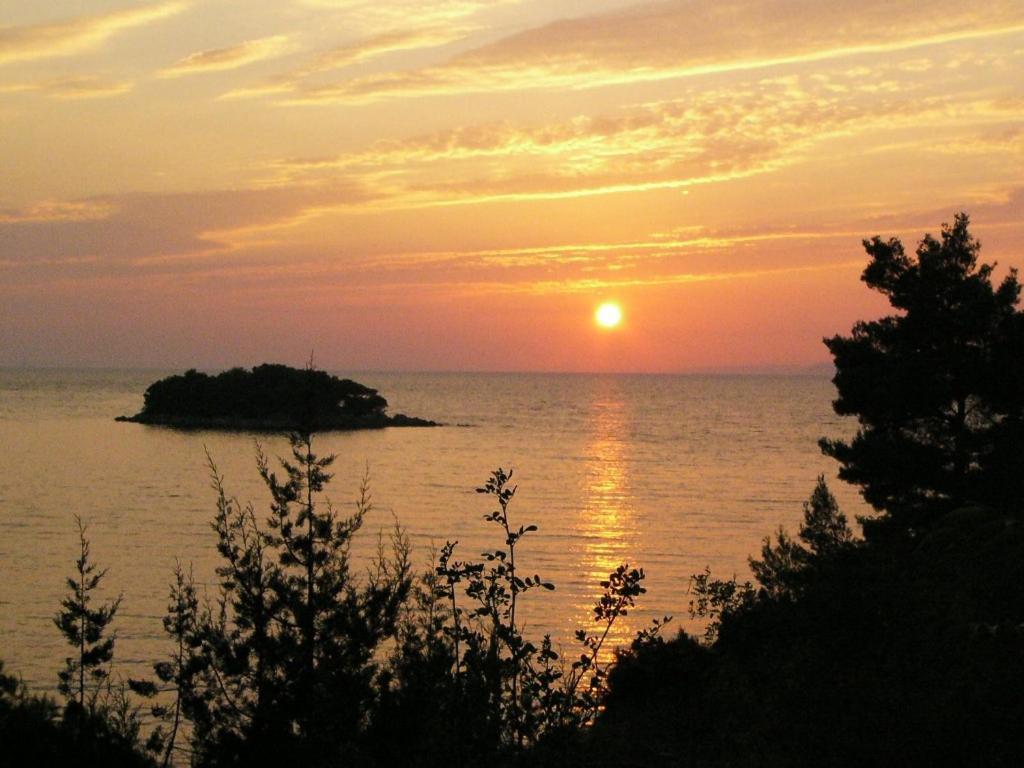 Photo 45