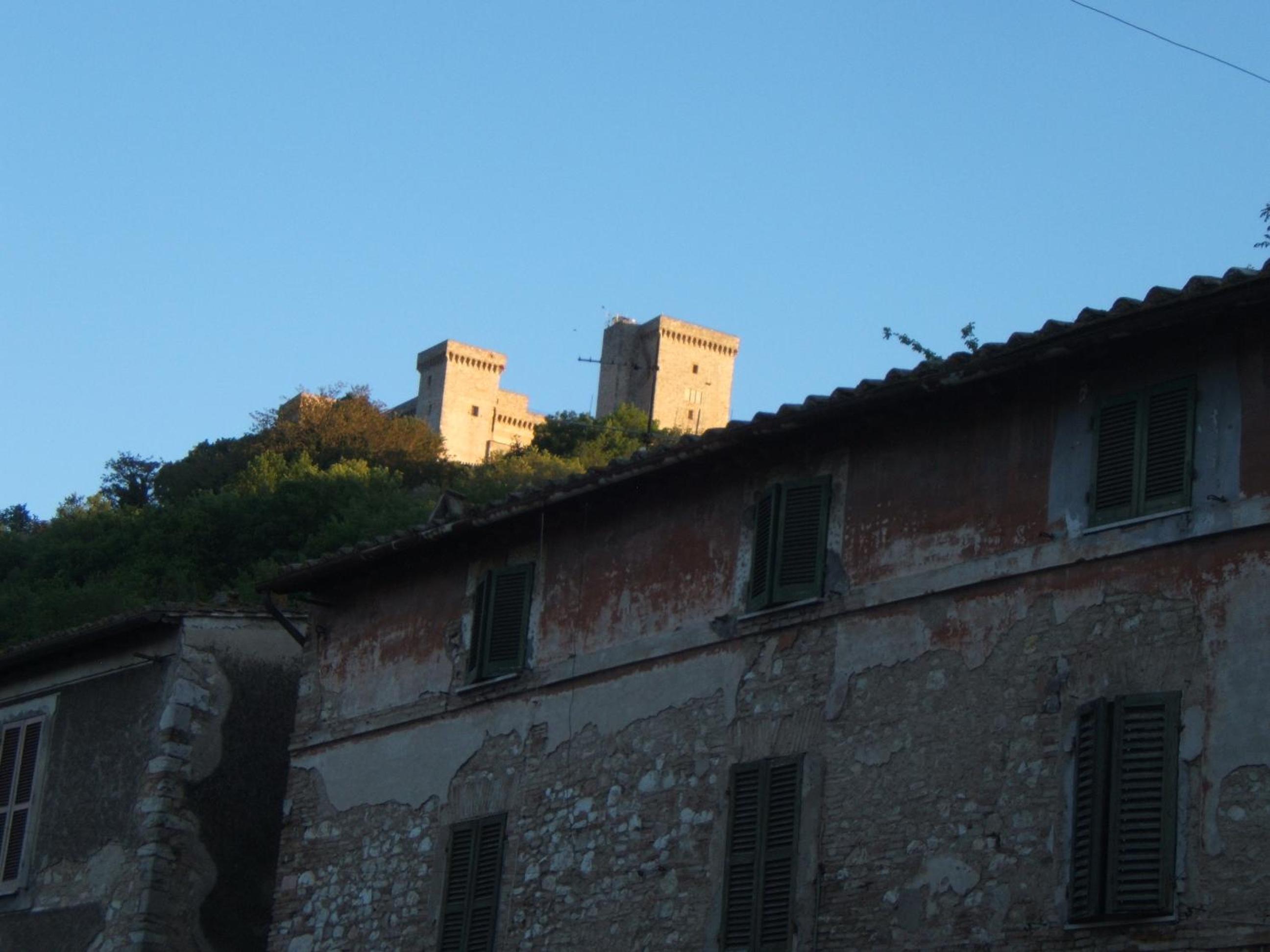 Photo 50