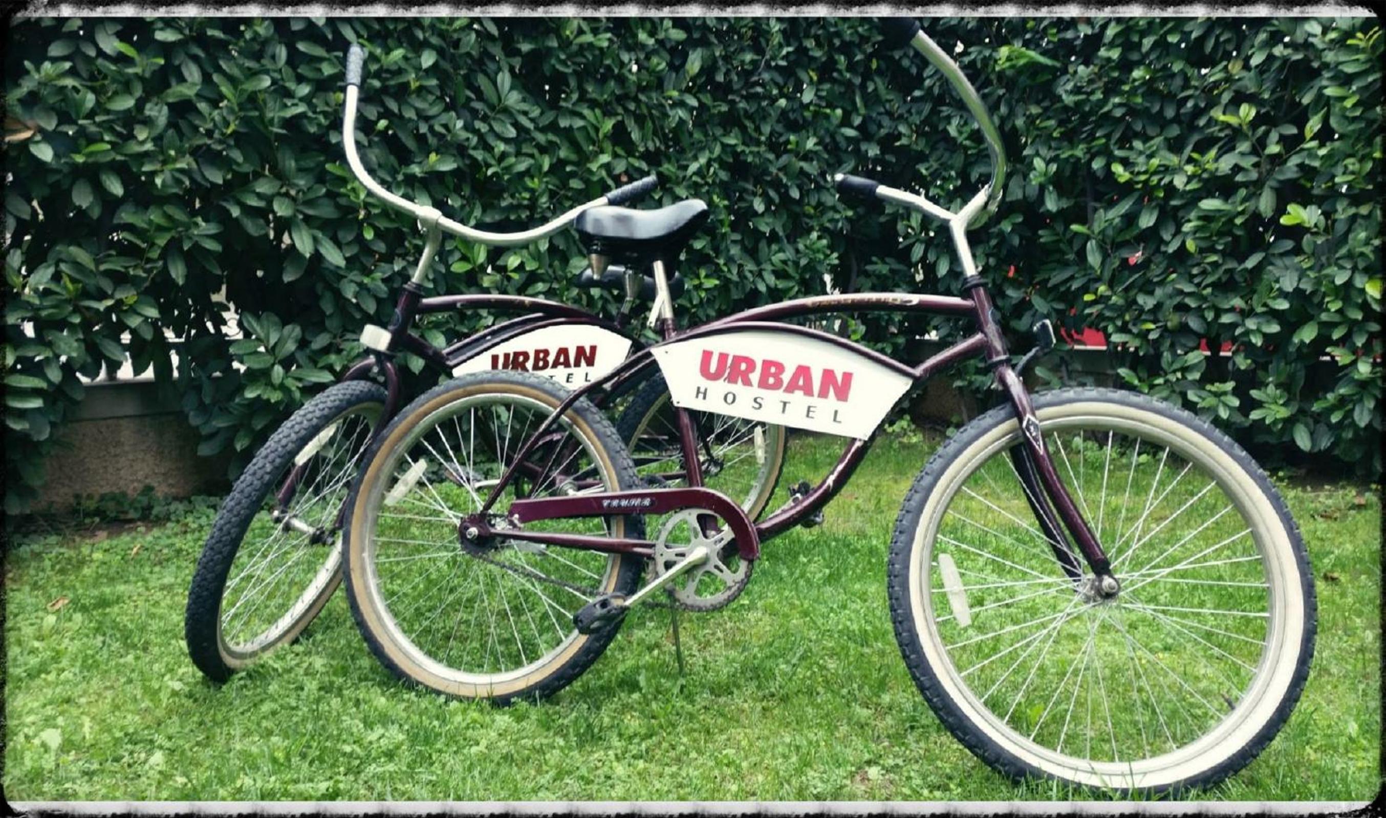 Urban Hostel & Apartments
