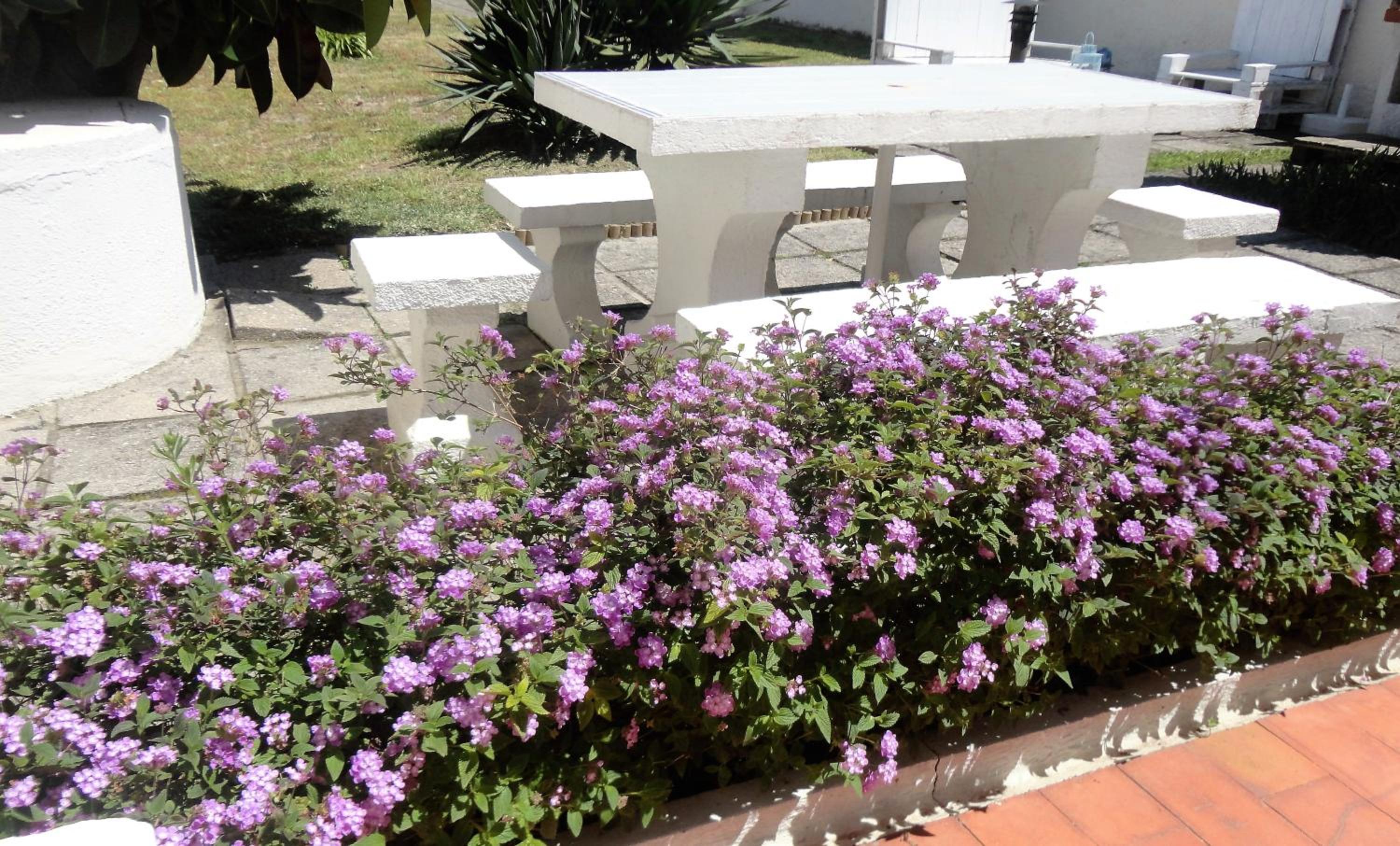 Casa de Praia