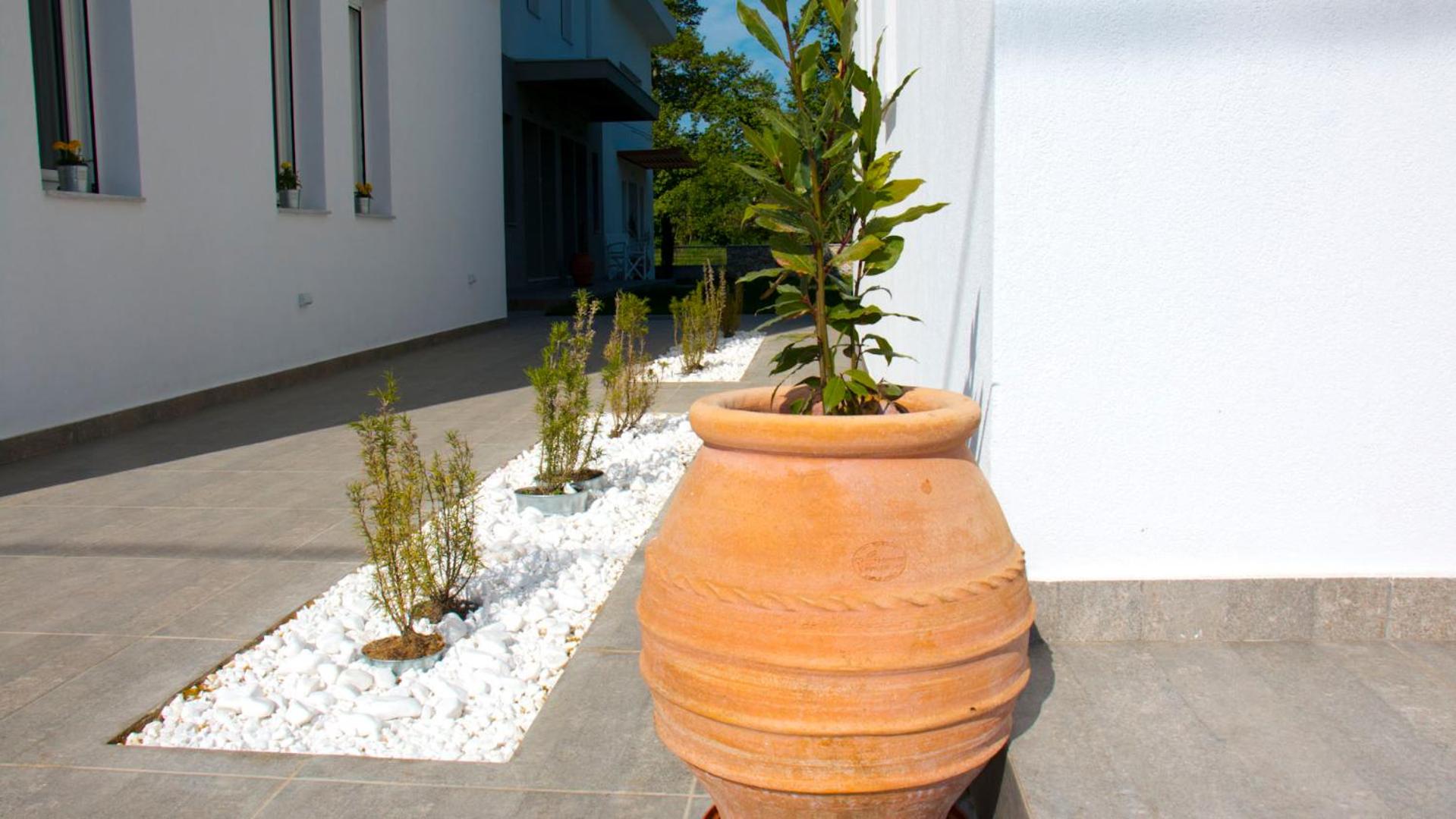 Aristotelia Gi Ikies - Olympiada Poolside Retreats view 3