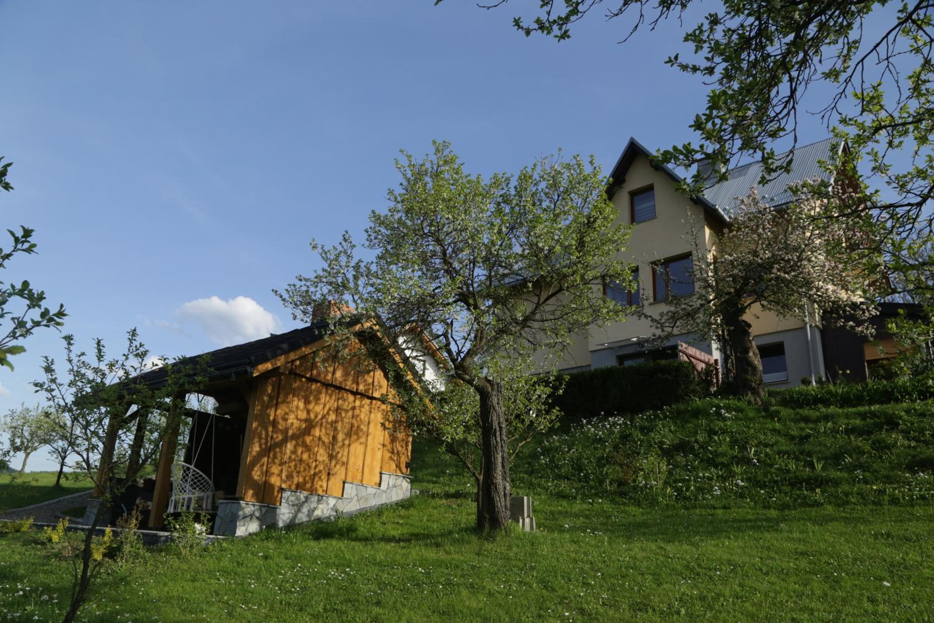 Photo 46