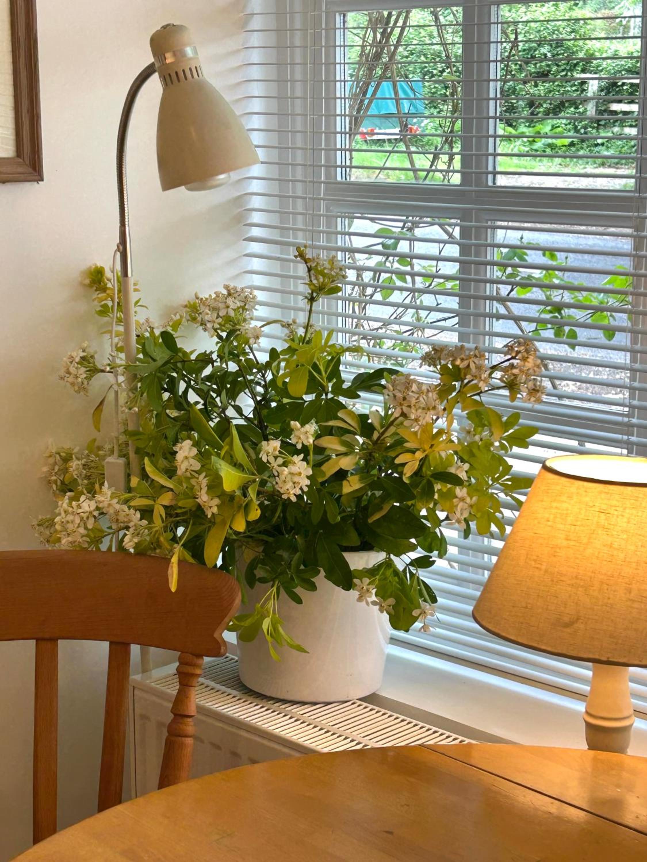 Four Seasons Cottage - in the Cotswolds