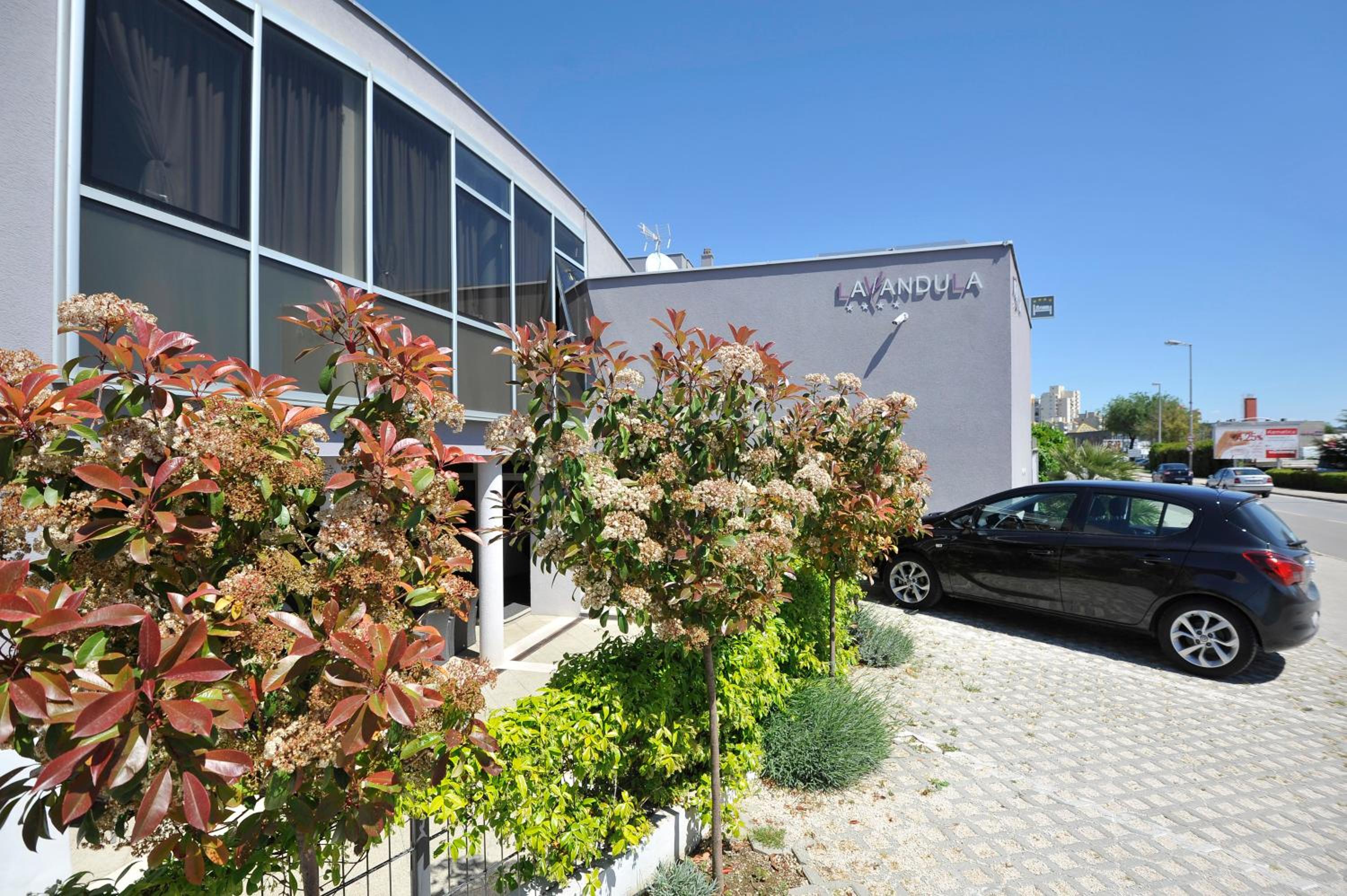 Hotel Apartments & Rooms Lavandula Exclusive - Image 1