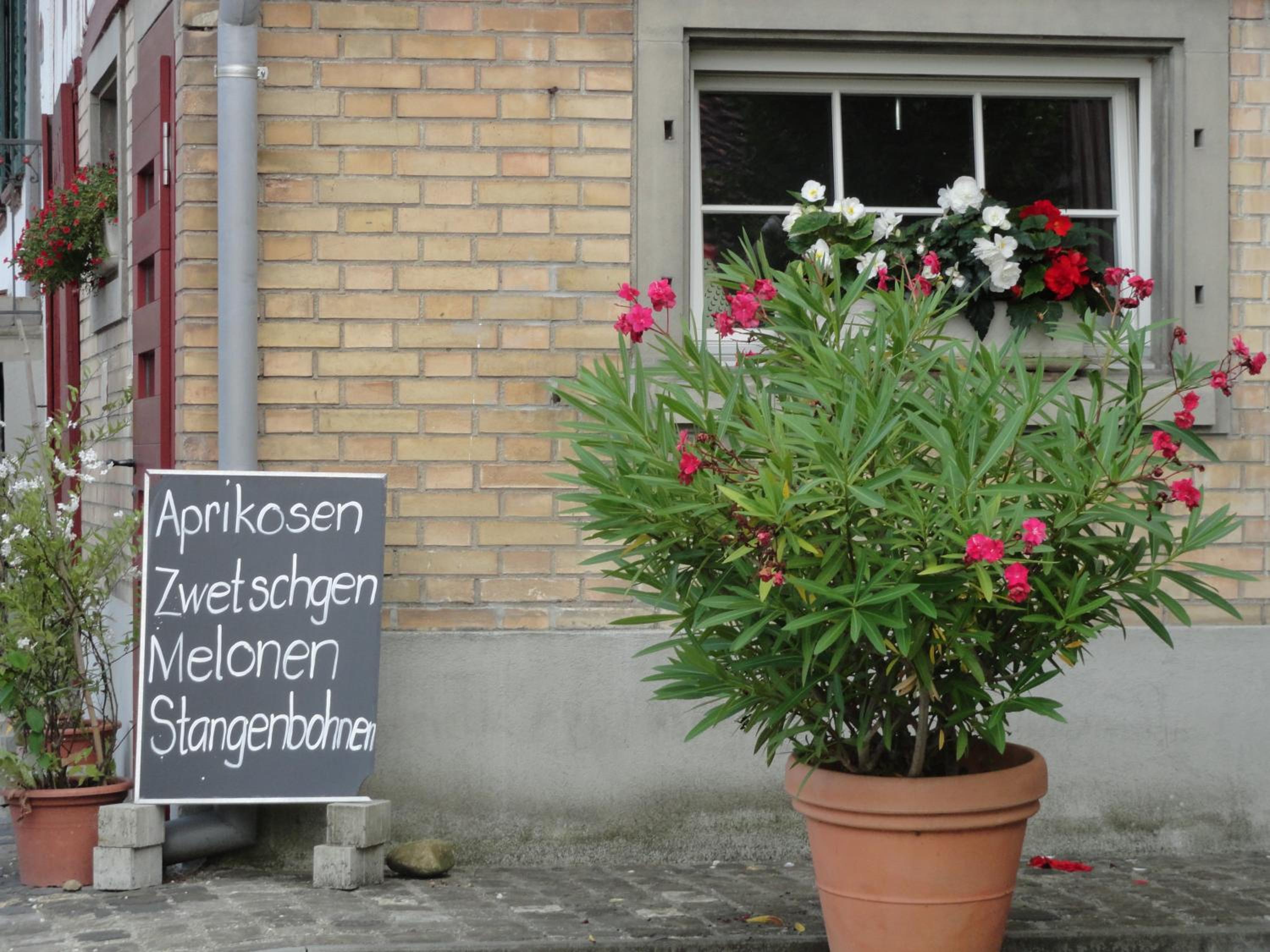 Bed and Breakfast Wegmann