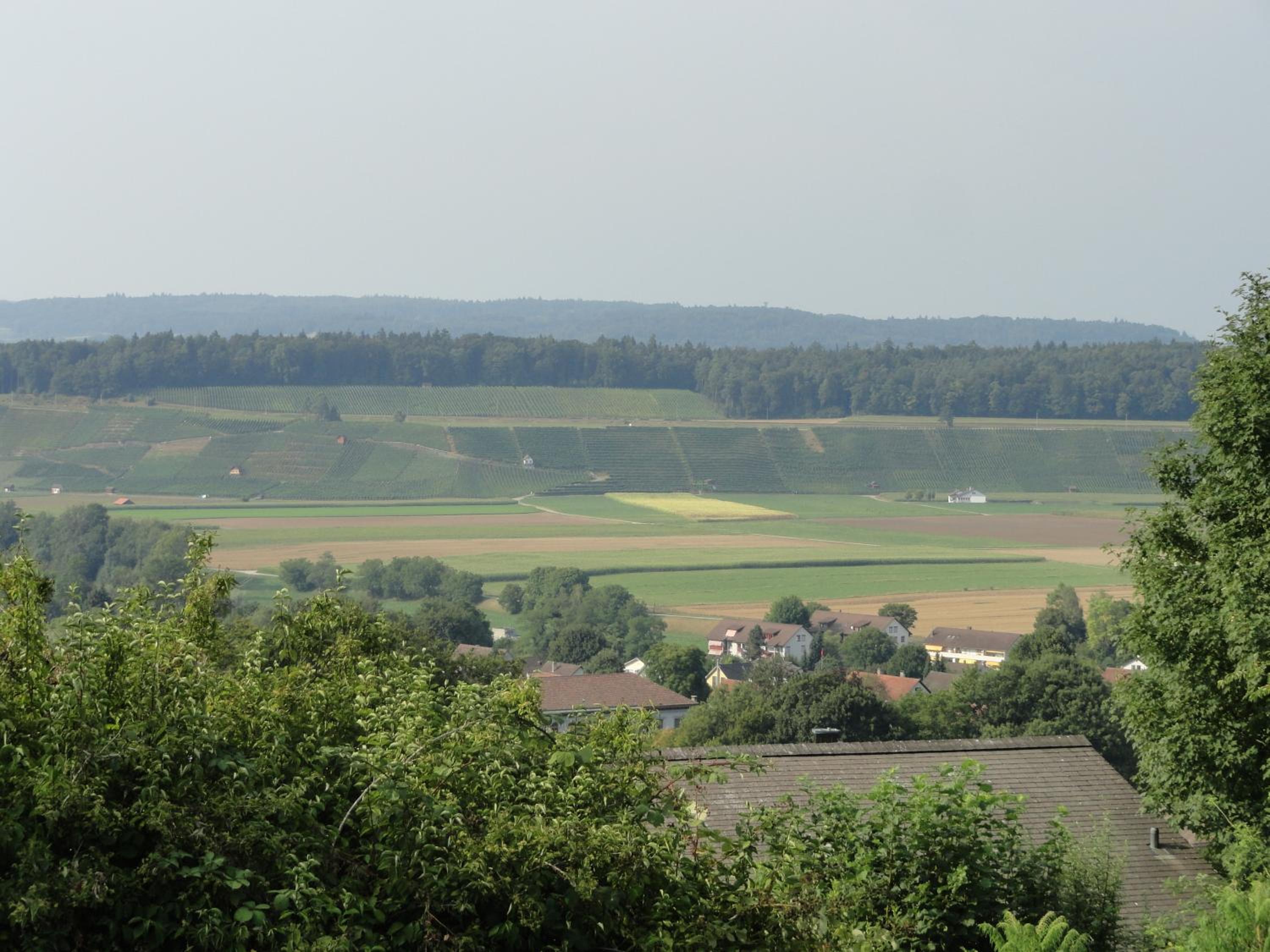 Bed and Breakfast Wegmann