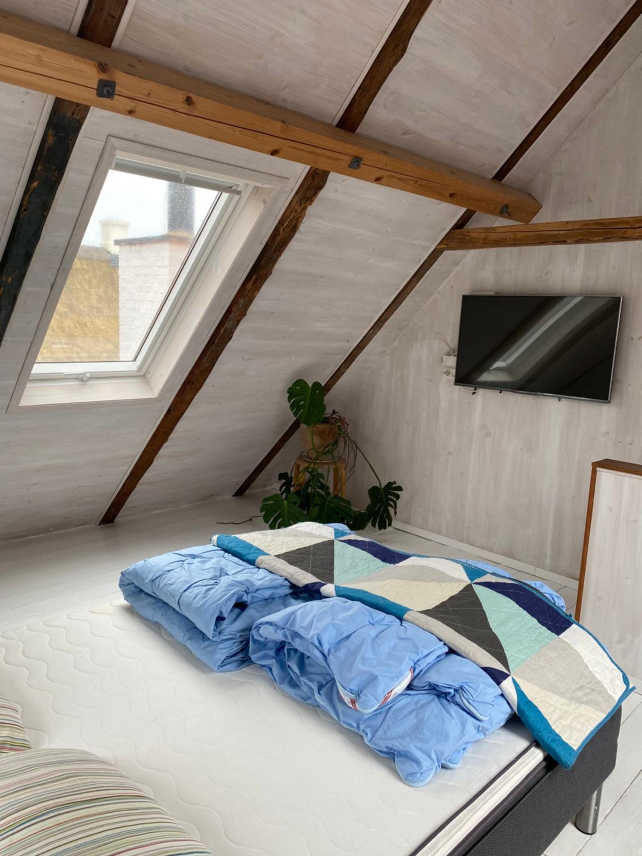 Tinyhouse Thorøhuse, photo 9