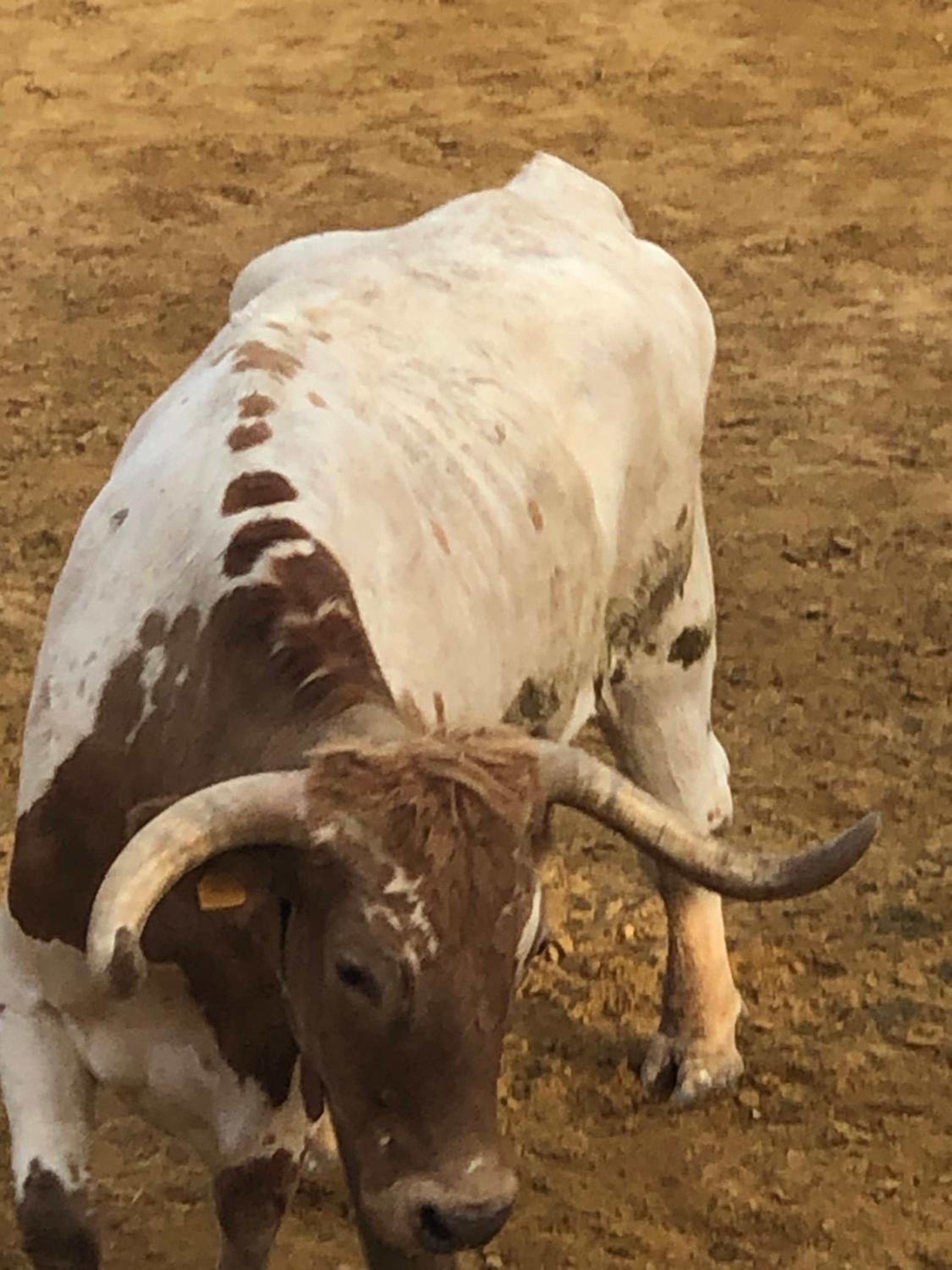 Molino Felix Alojamiento Rurales