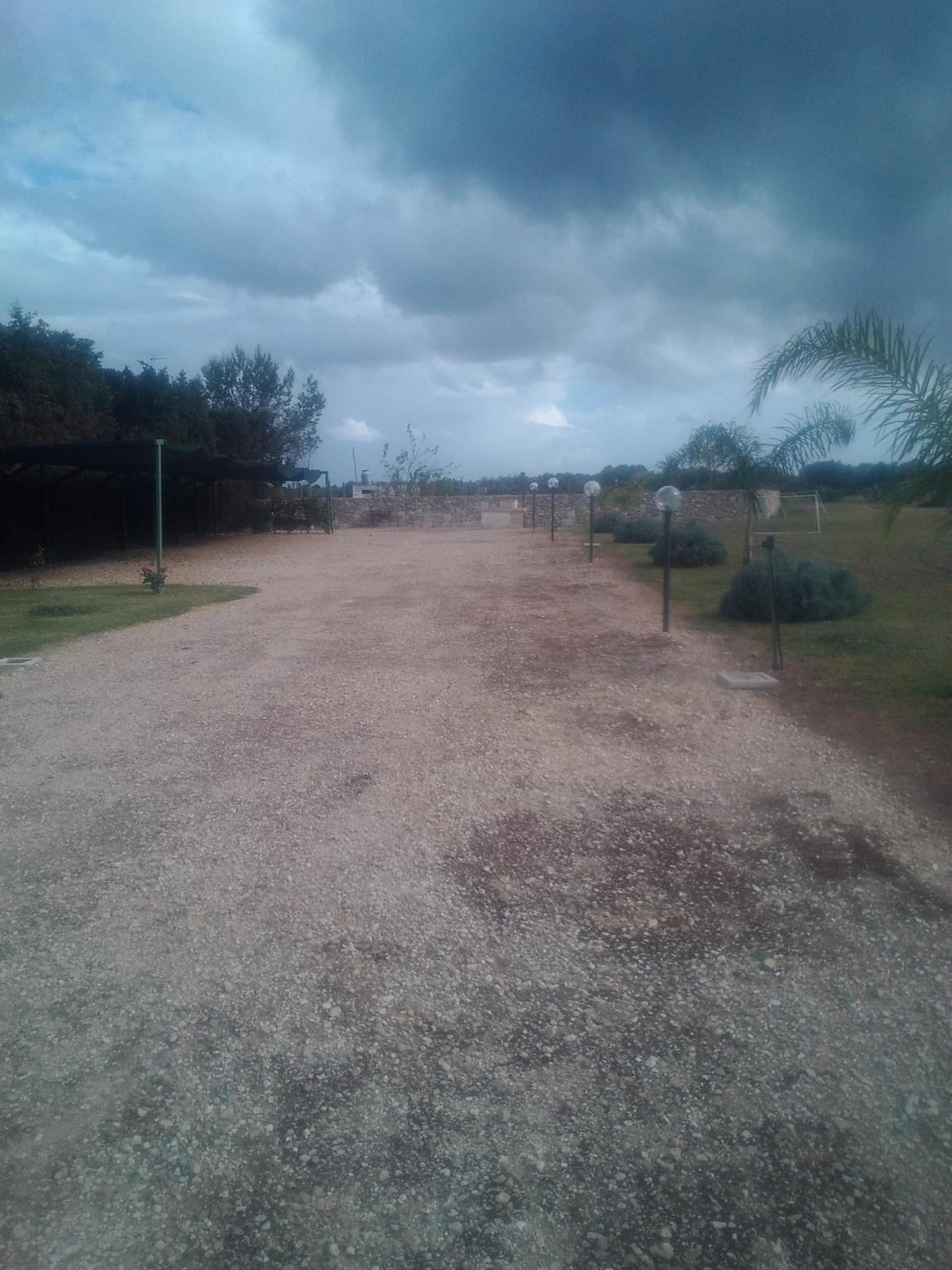 Photo 45