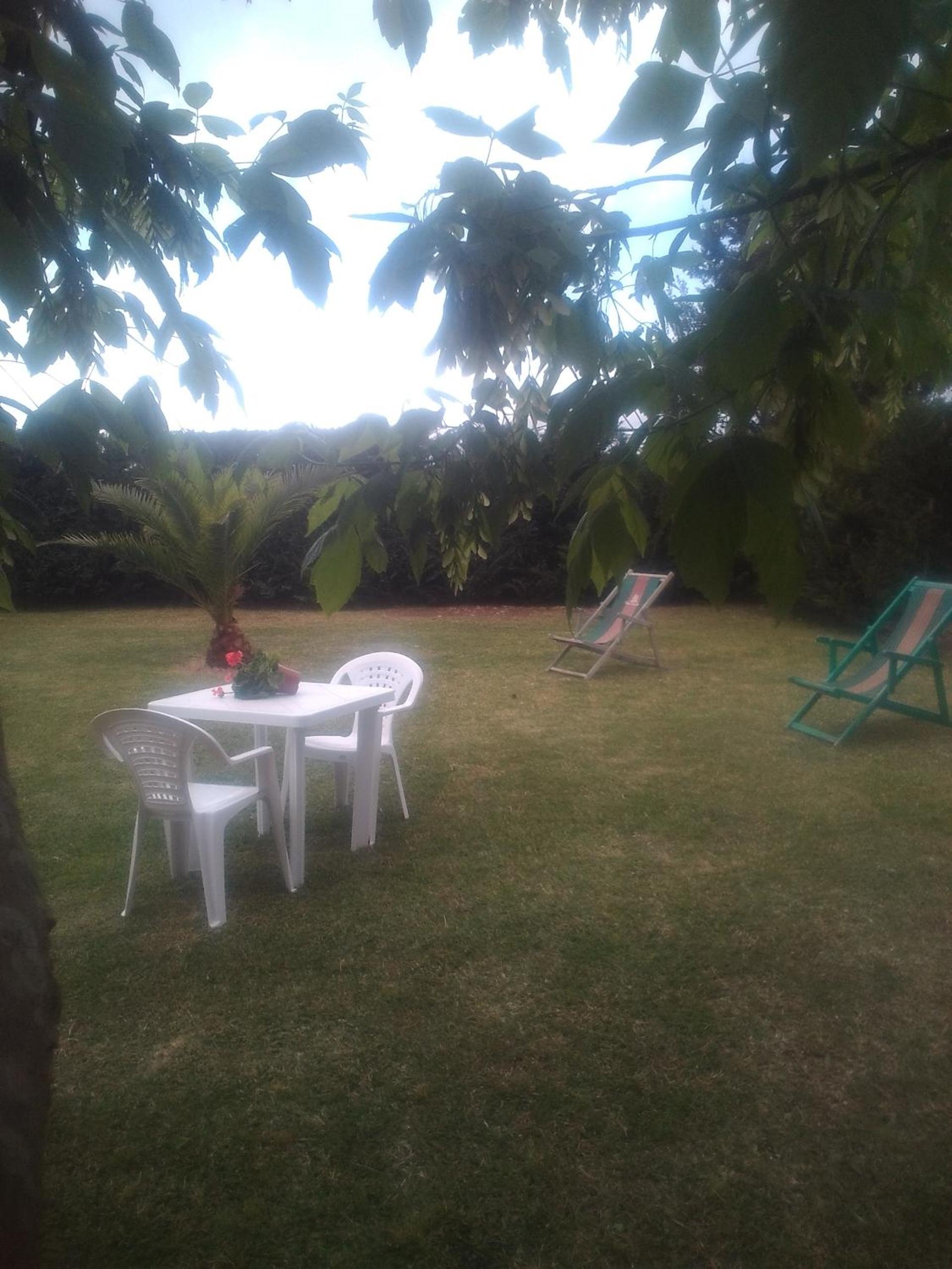 Photo 40