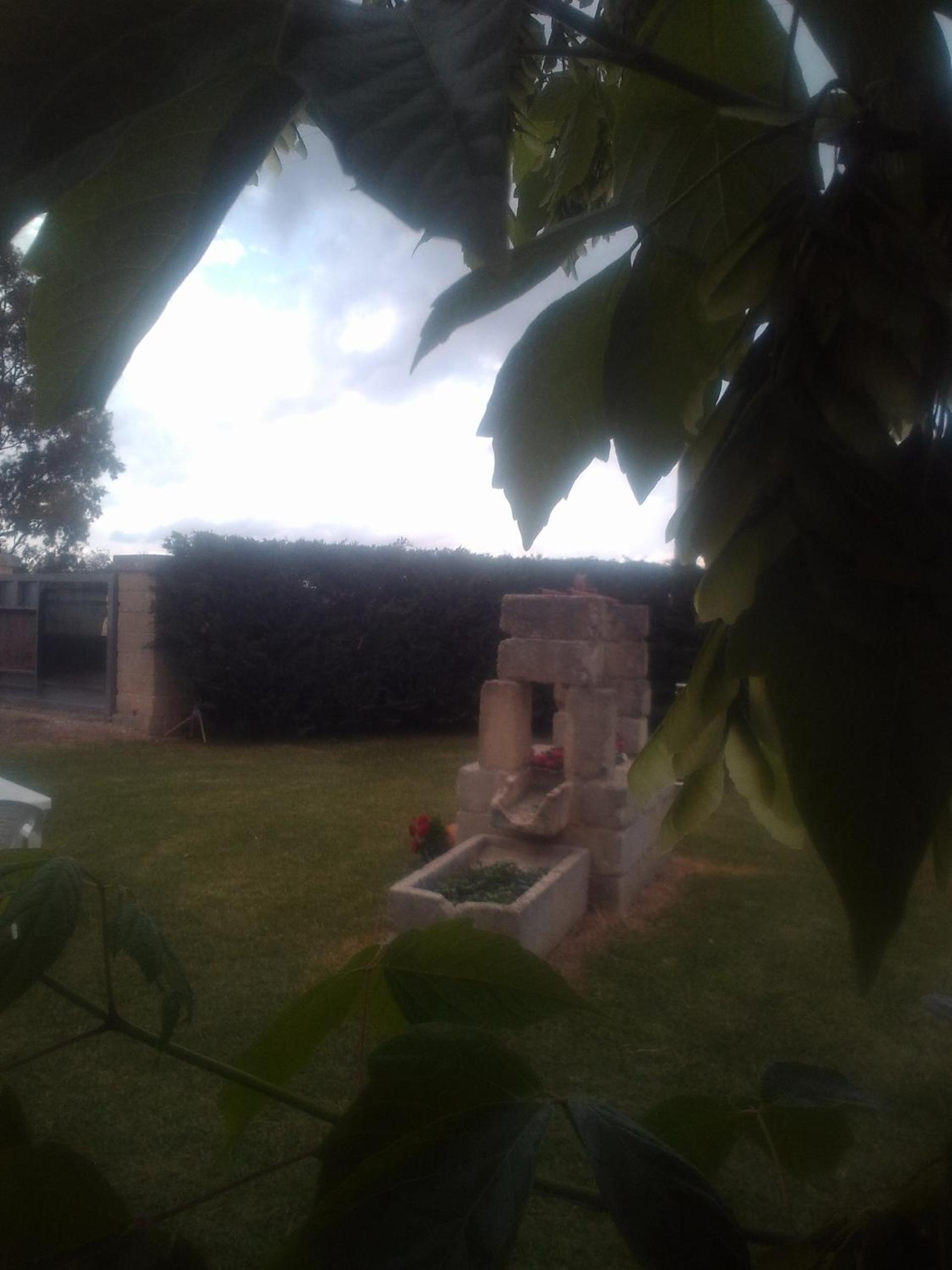 Photo 39