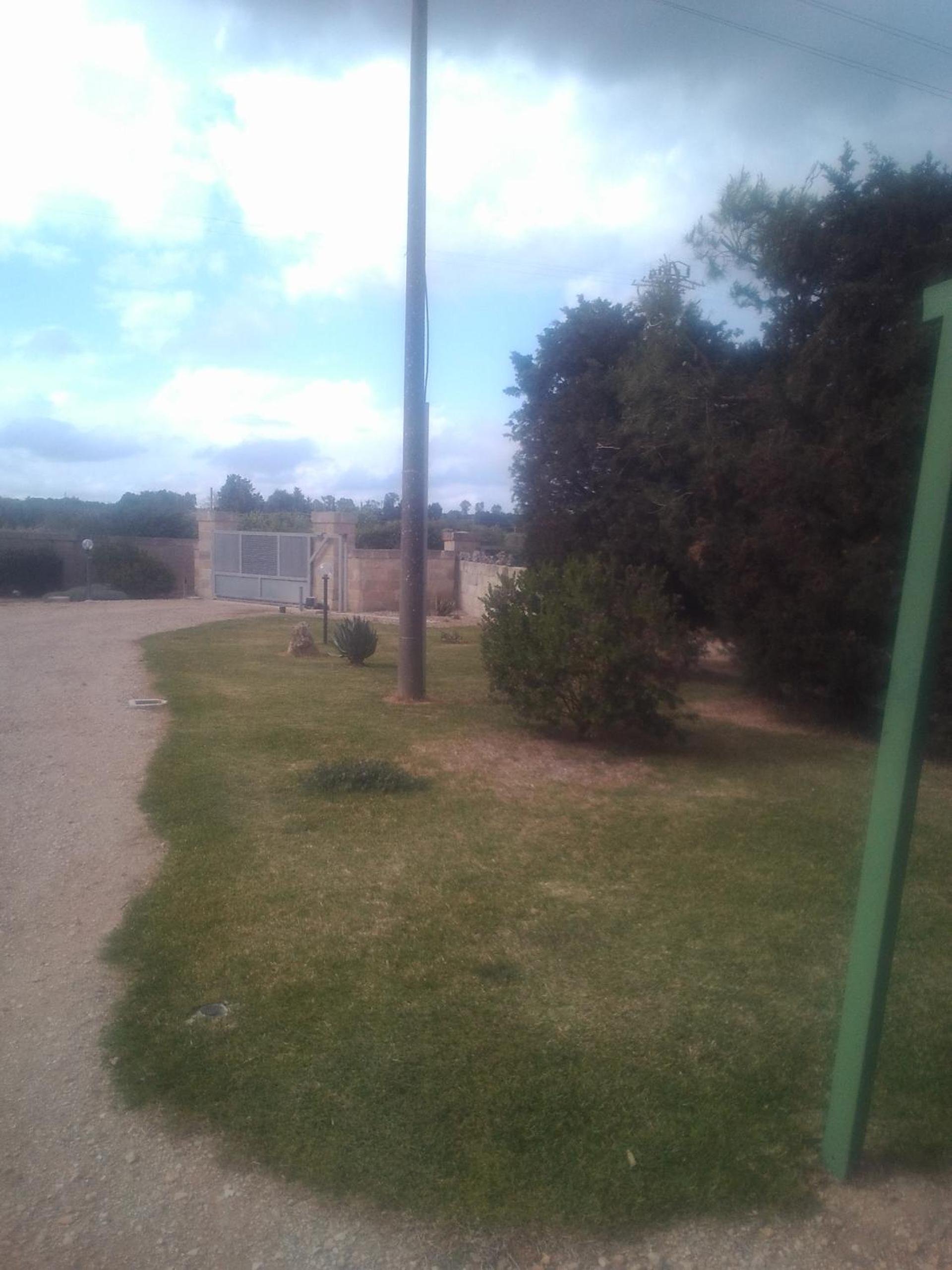 Photo 38
