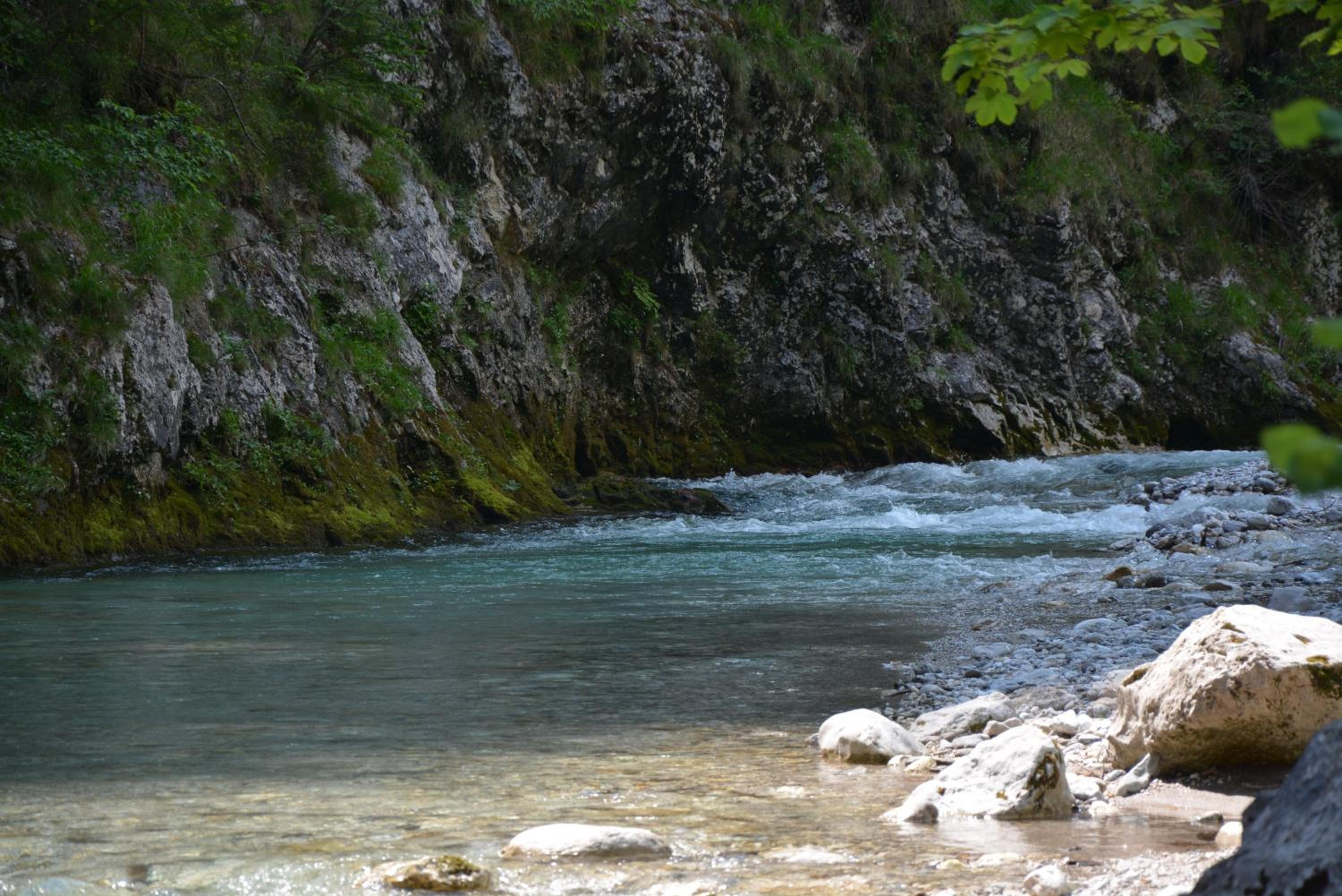 Photo 48