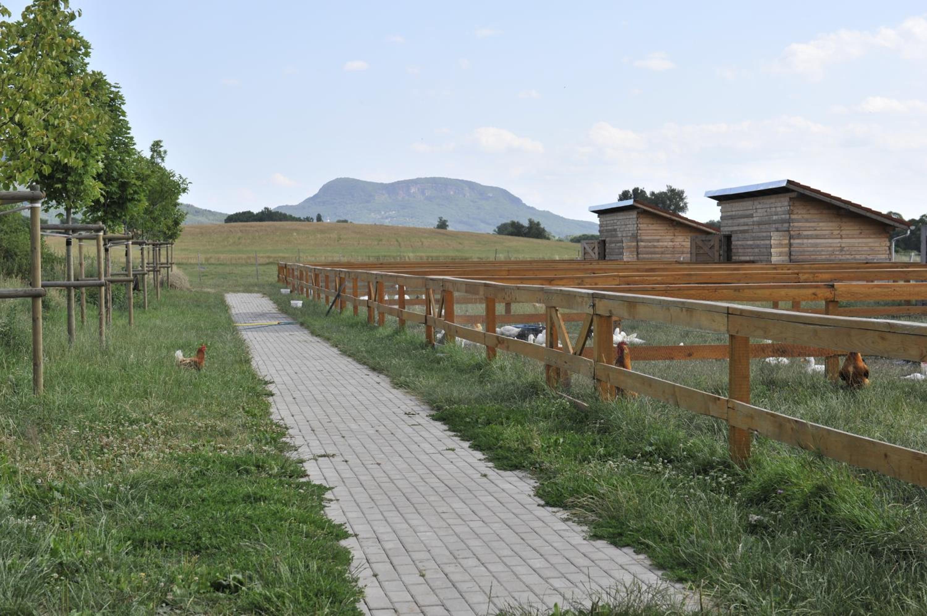 Gyulavezér Lovasbirodalma