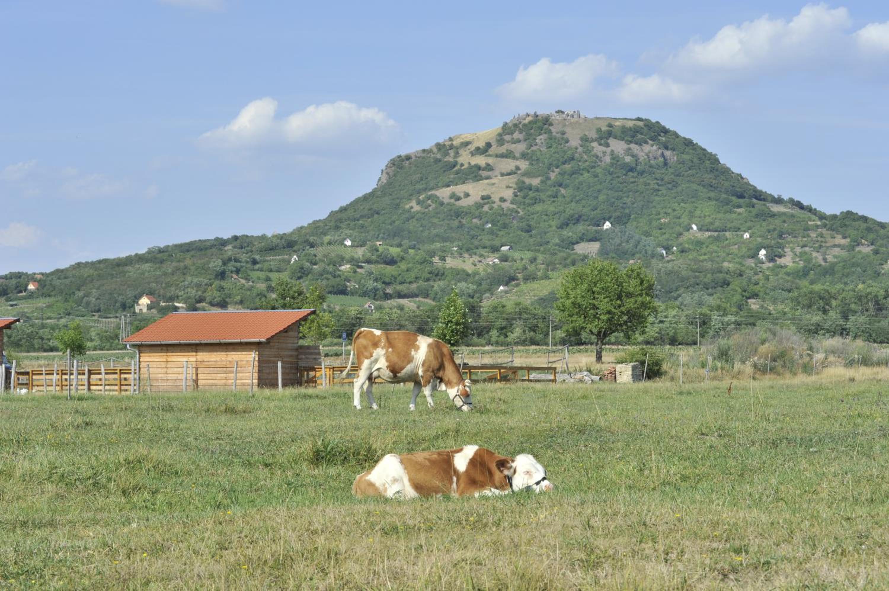 Gyulavezér Lovasbirodalma