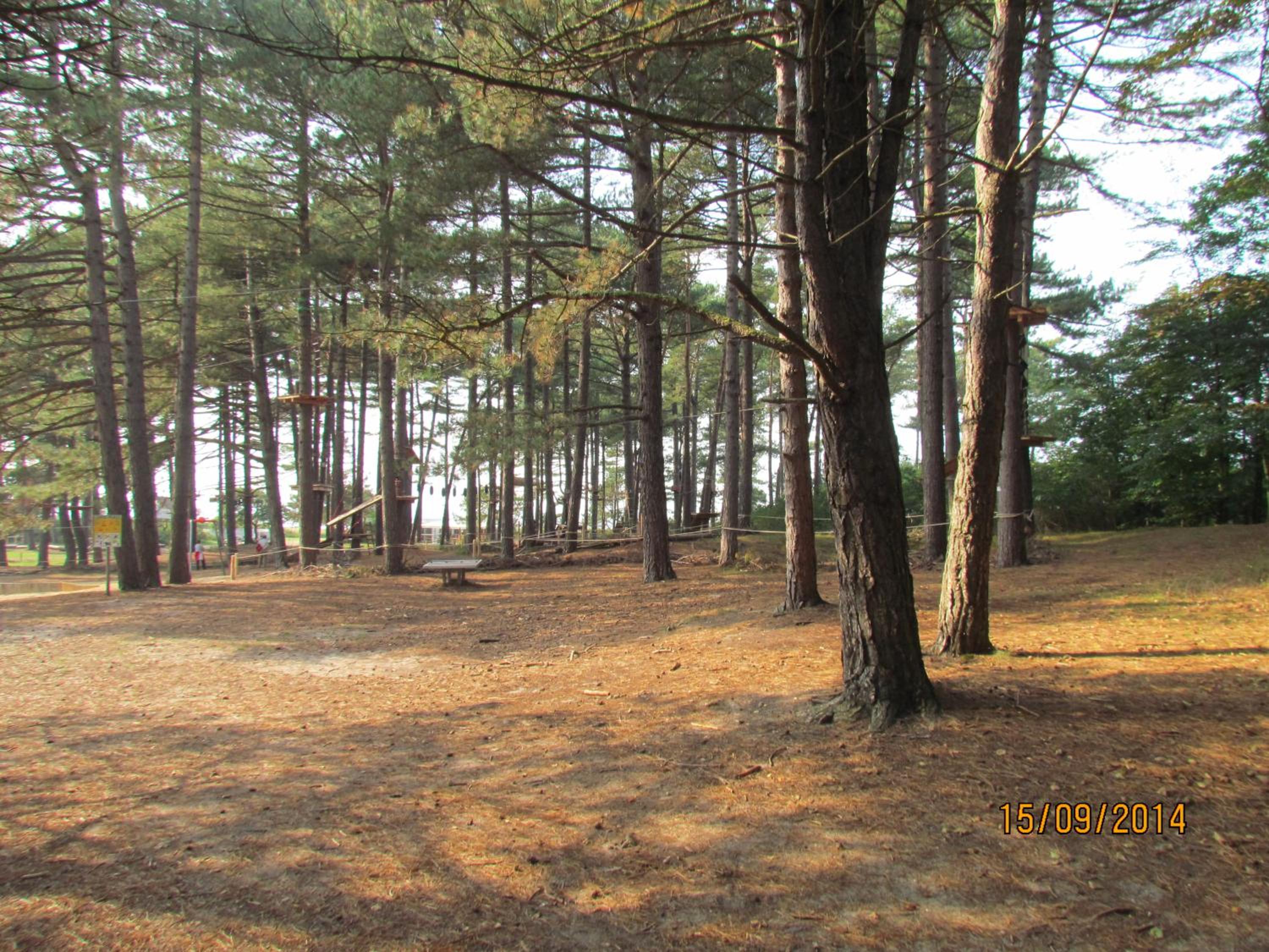 Photo 44