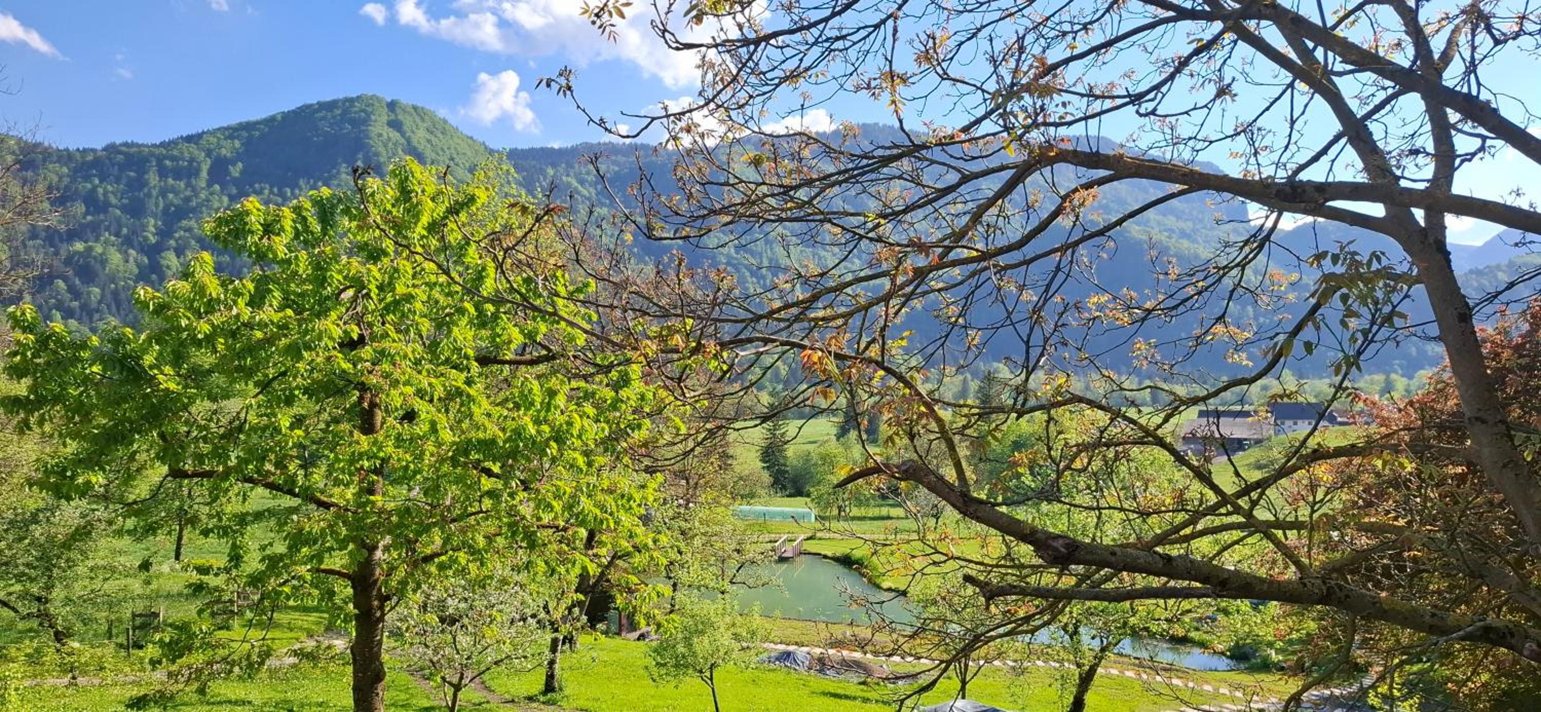 Landhouse Bled
