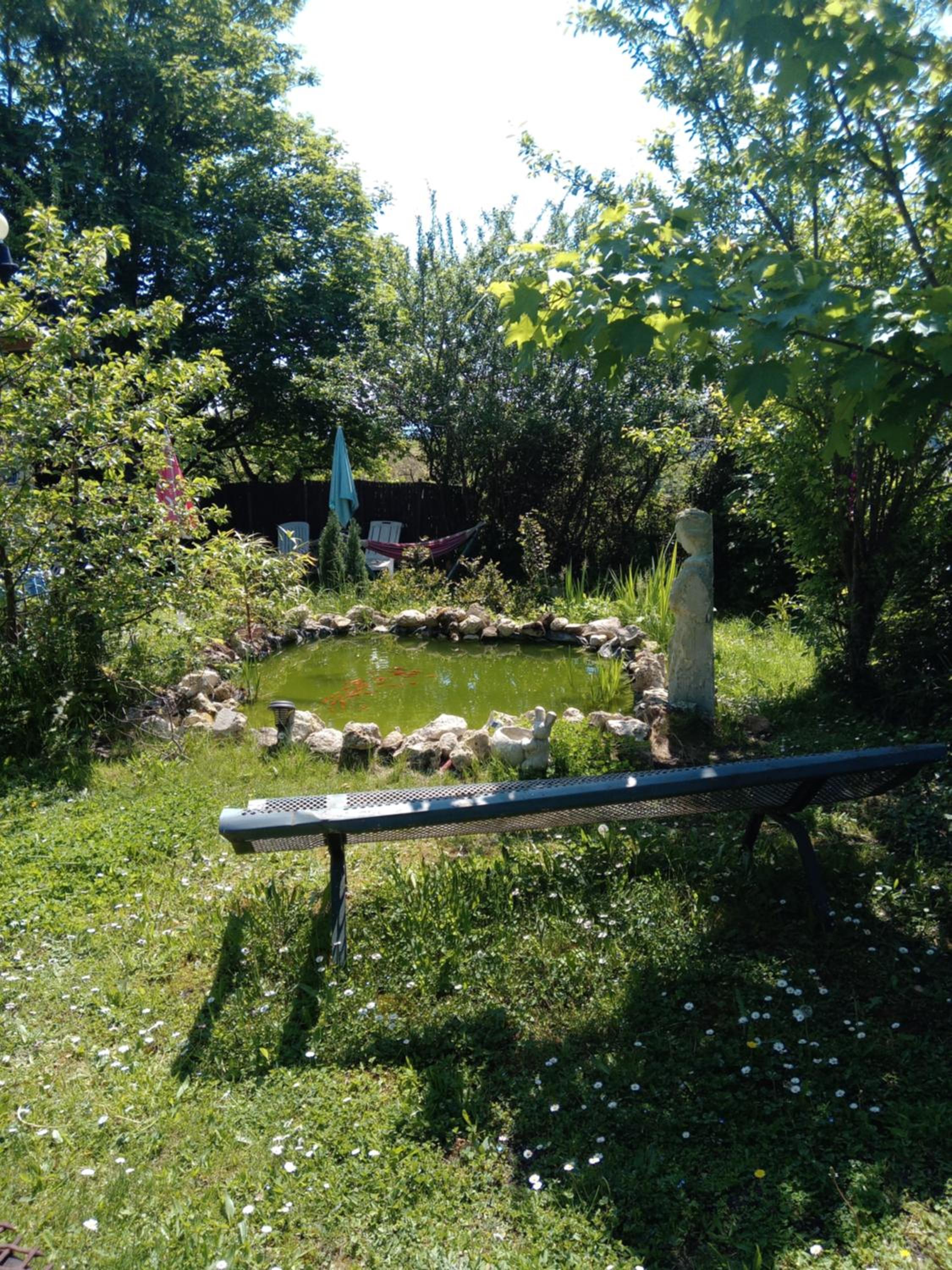 Photo 29