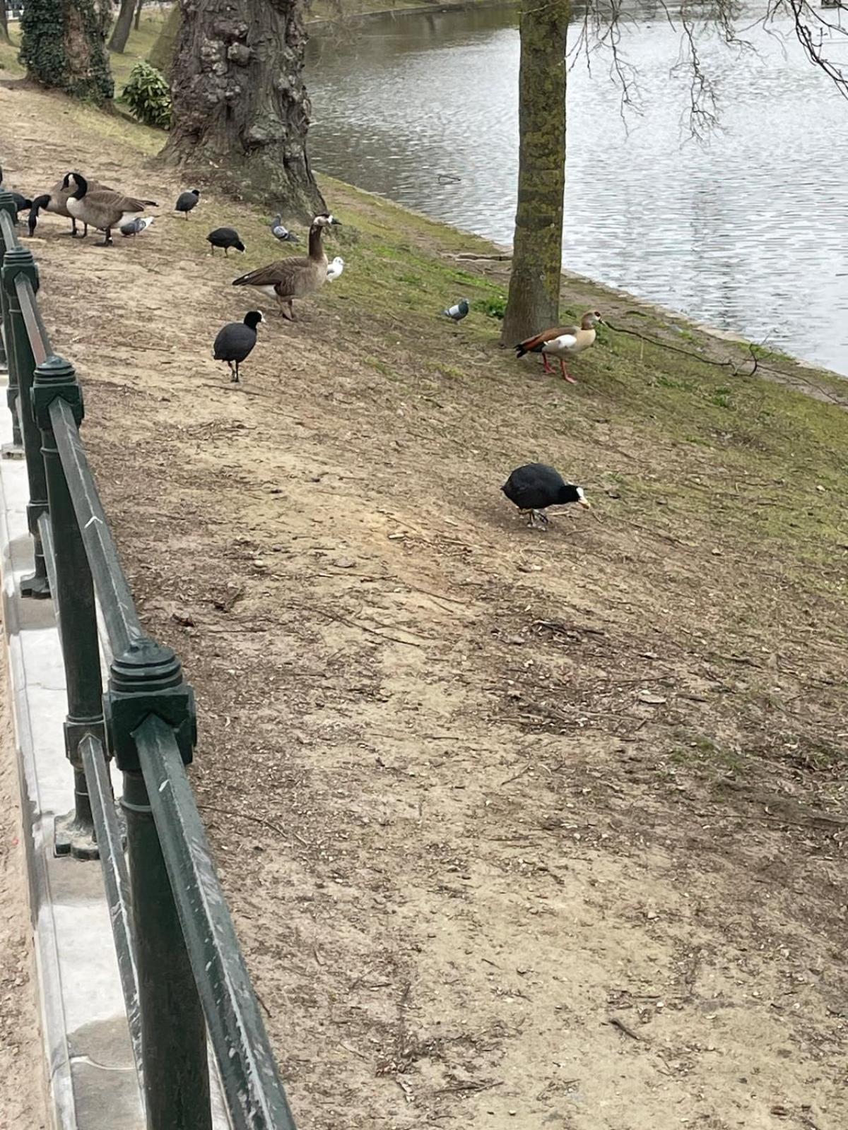 Le Flagey green place