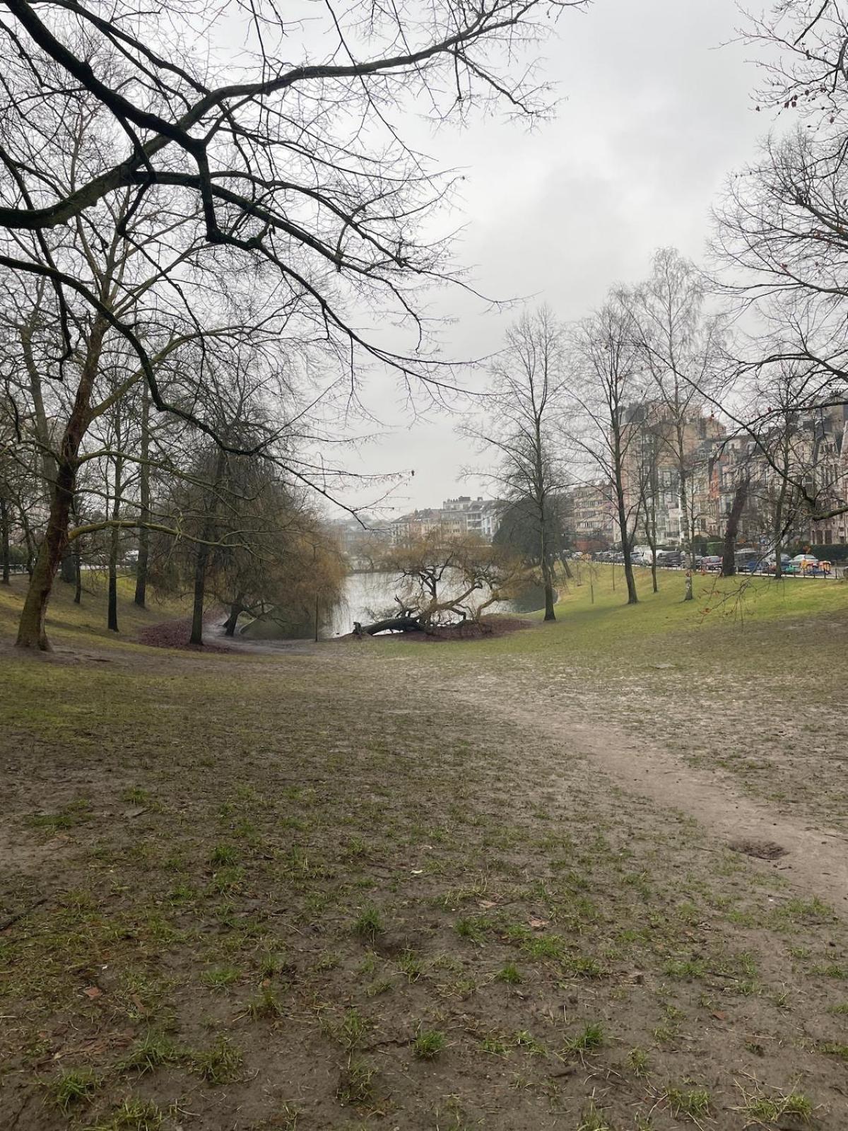Le Flagey green place