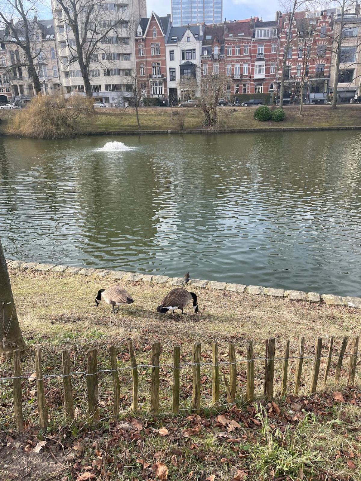 Le Flagey green place