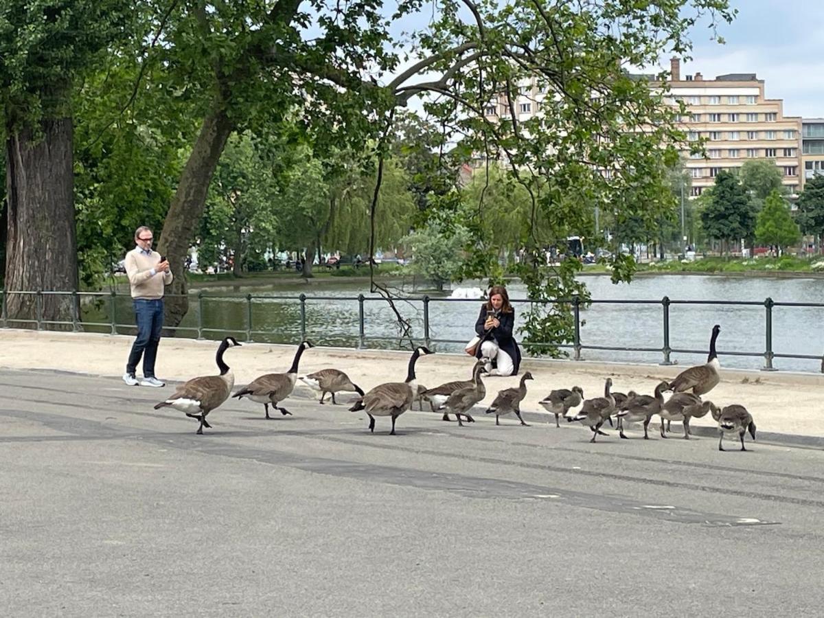 Le Flagey green place
