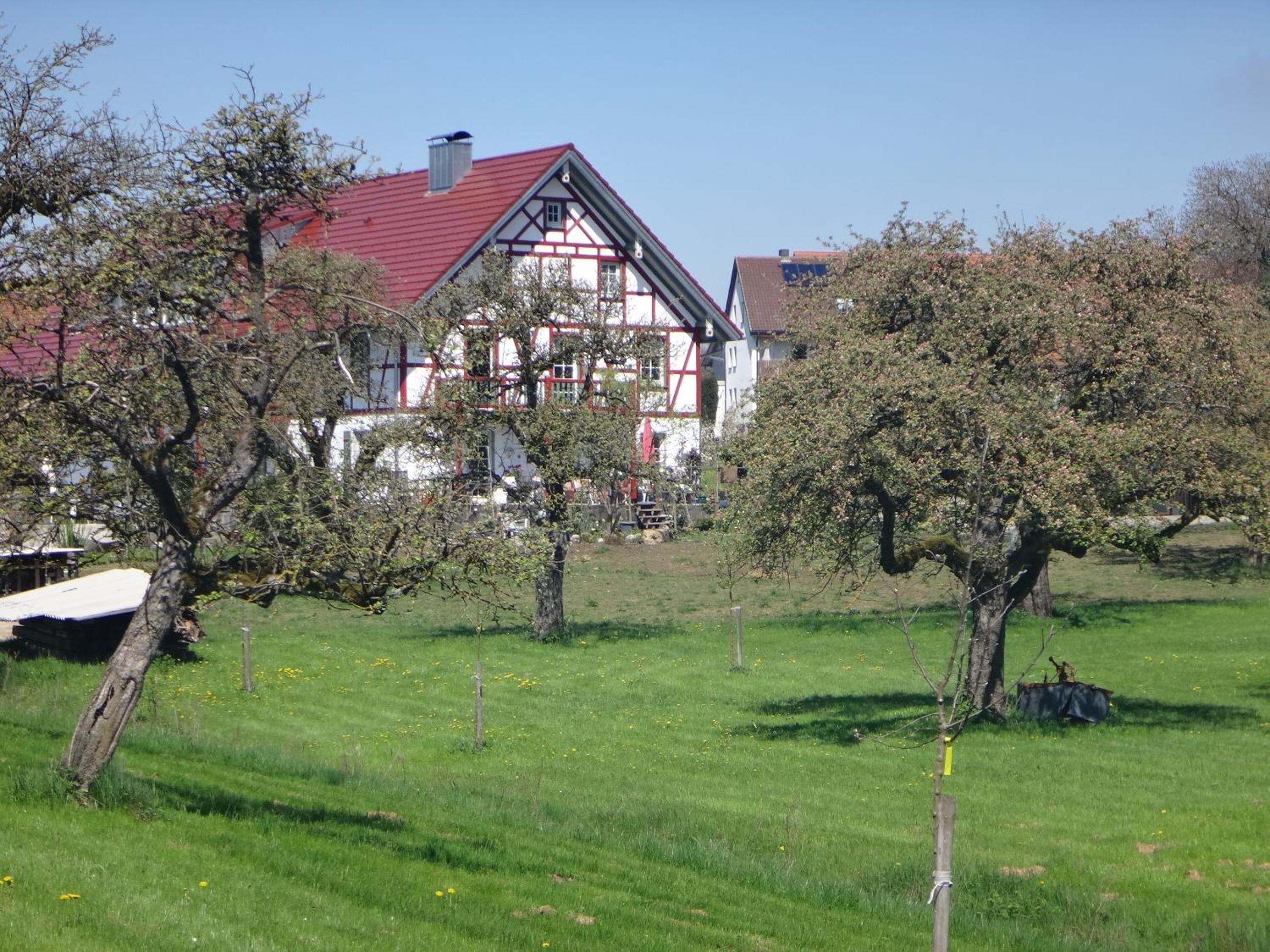 Landgut Apfelrose