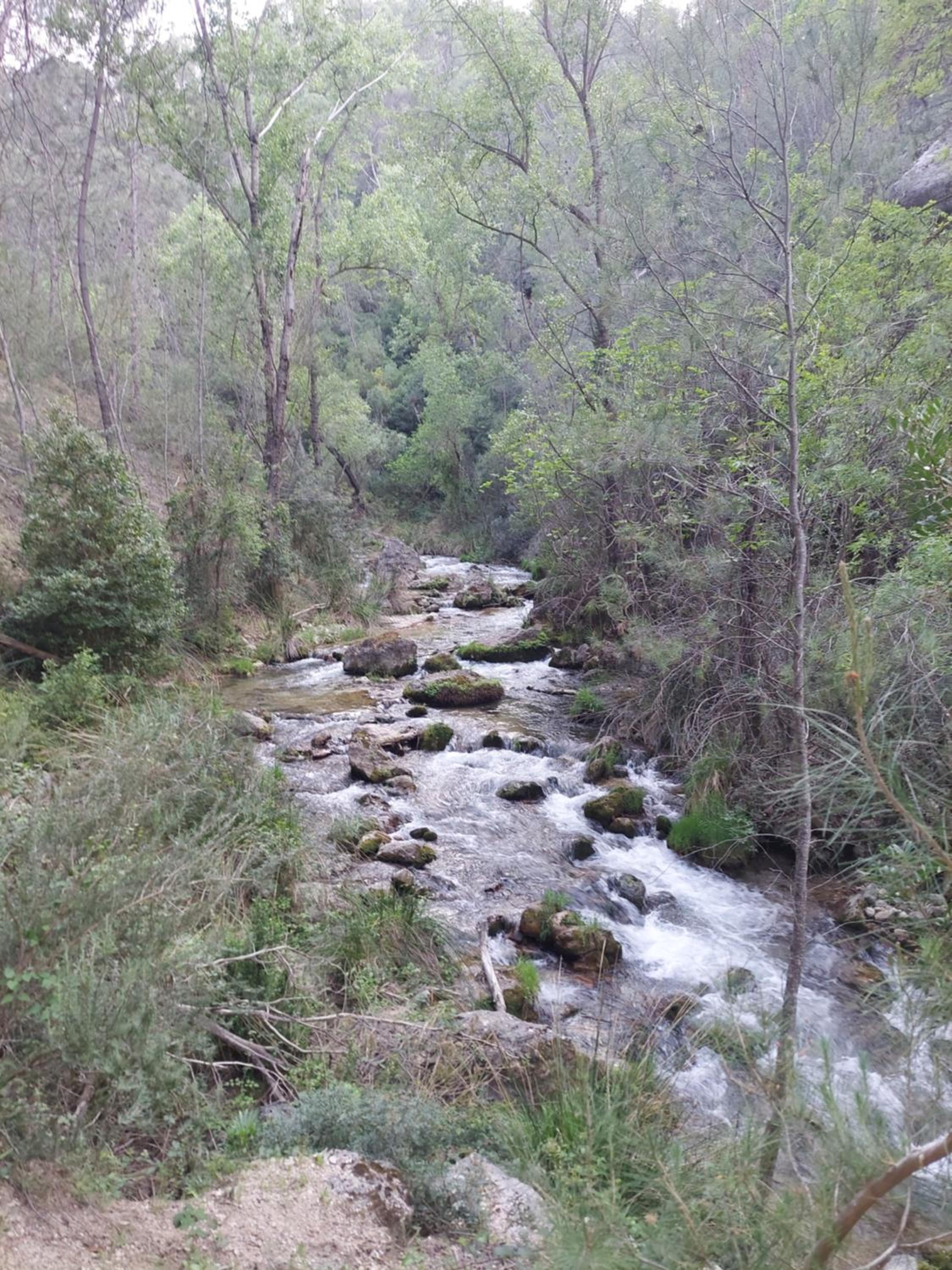 Photo 37