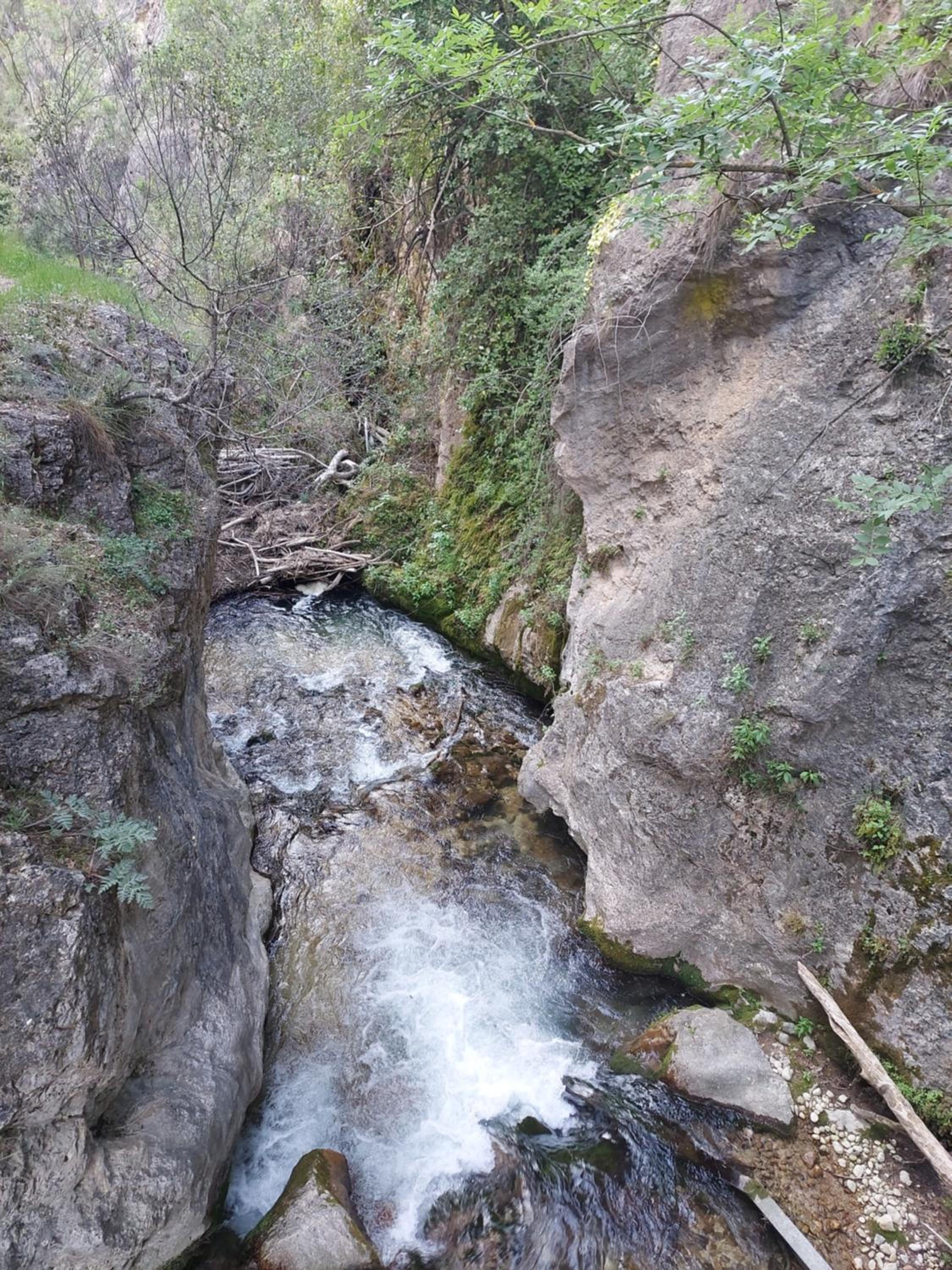 Photo 14