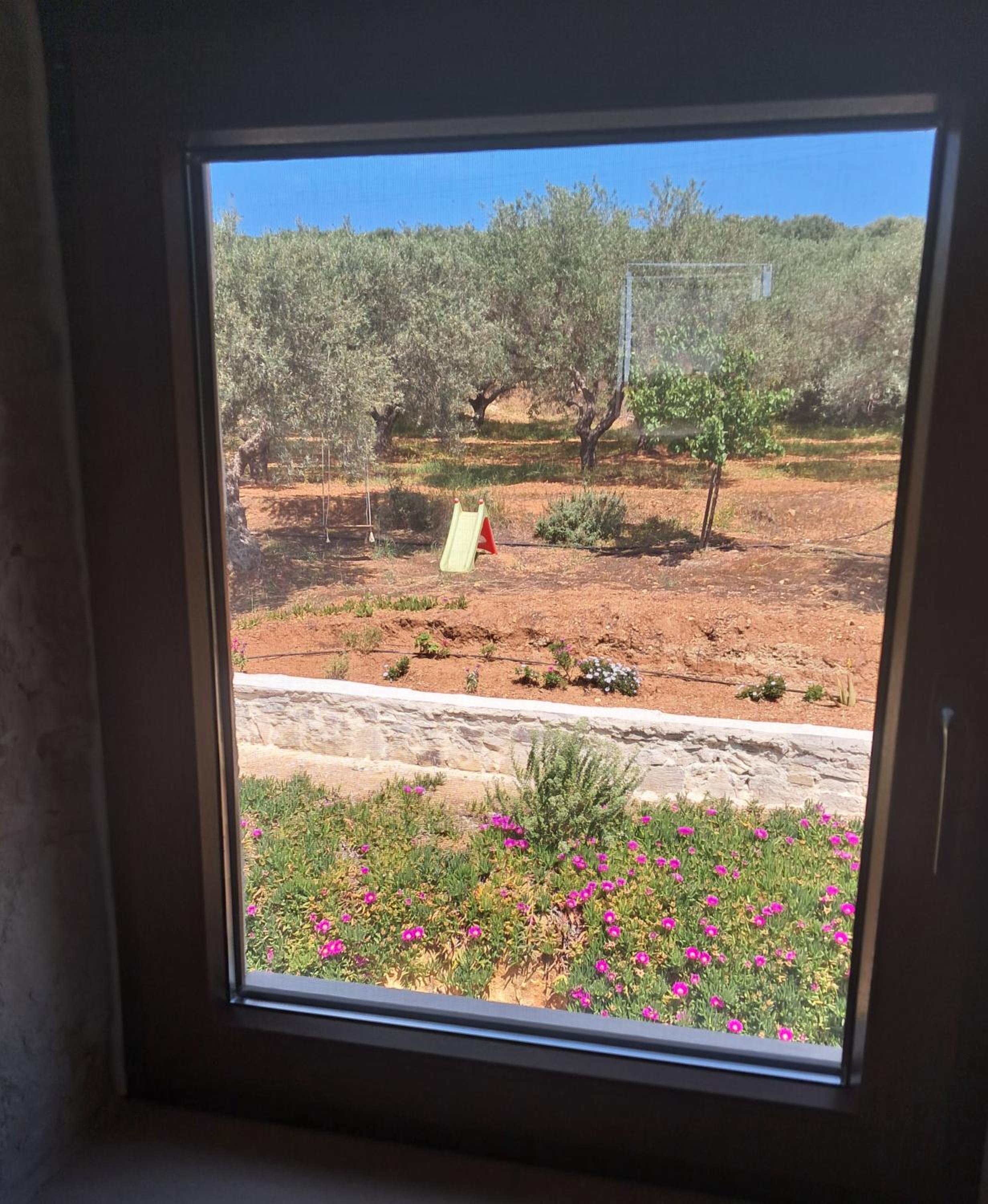 OLIVE LAND - ΓΗ ΤΗΣ ΕΛΙΑΣ / STONE VILLA.