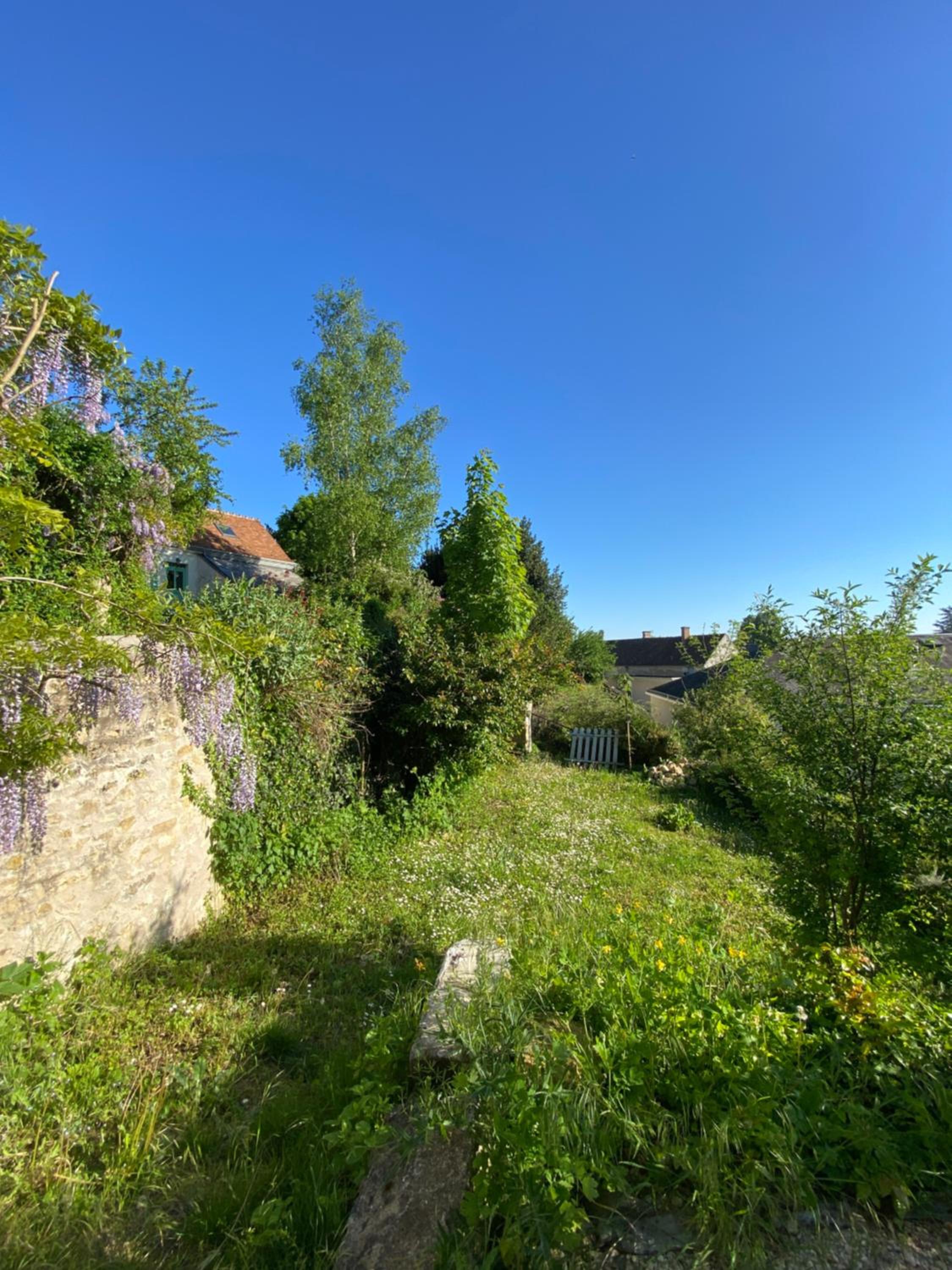Clos des Mésanges