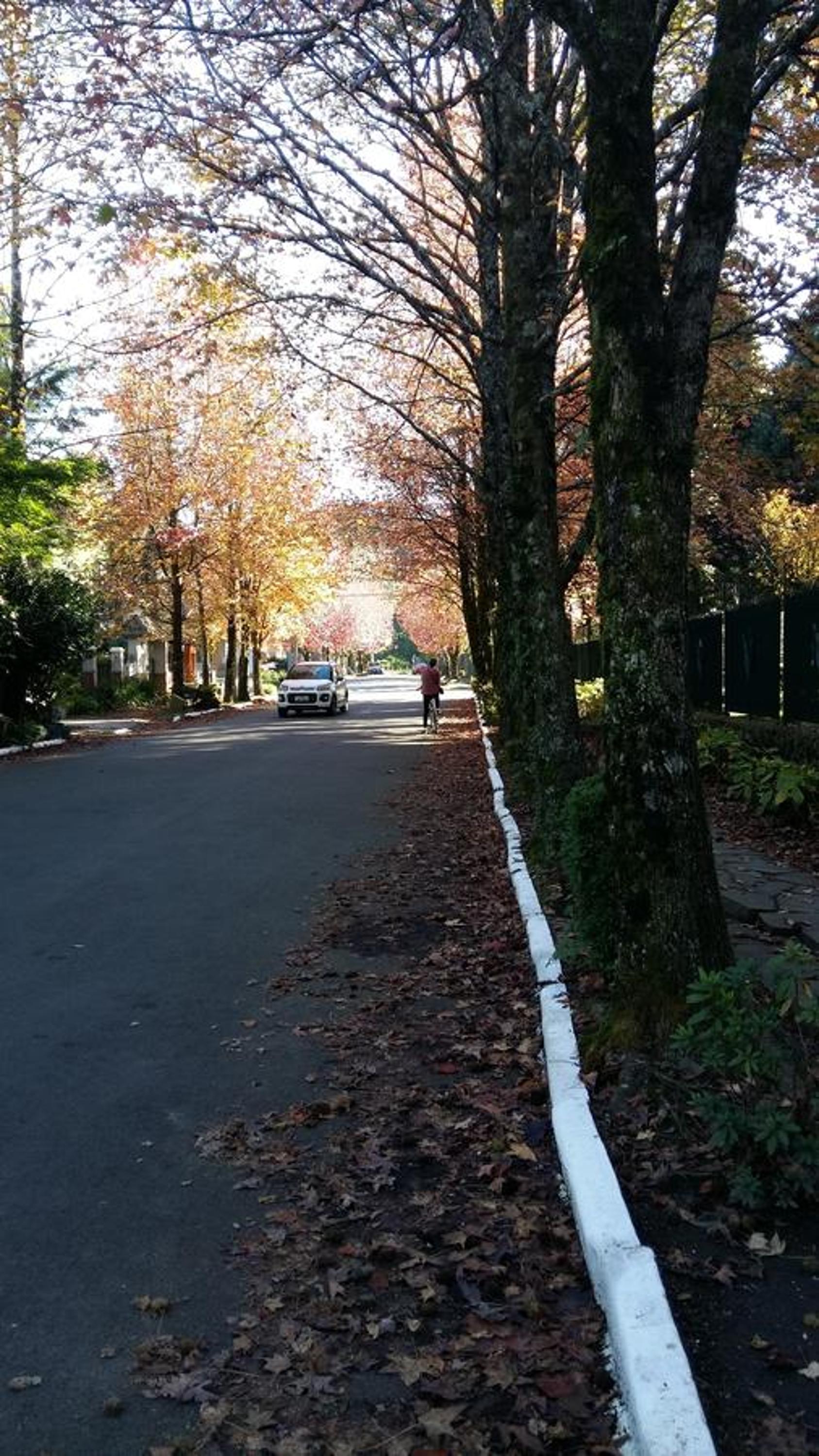 Dúplex 400m do Lago com lareira e garagem