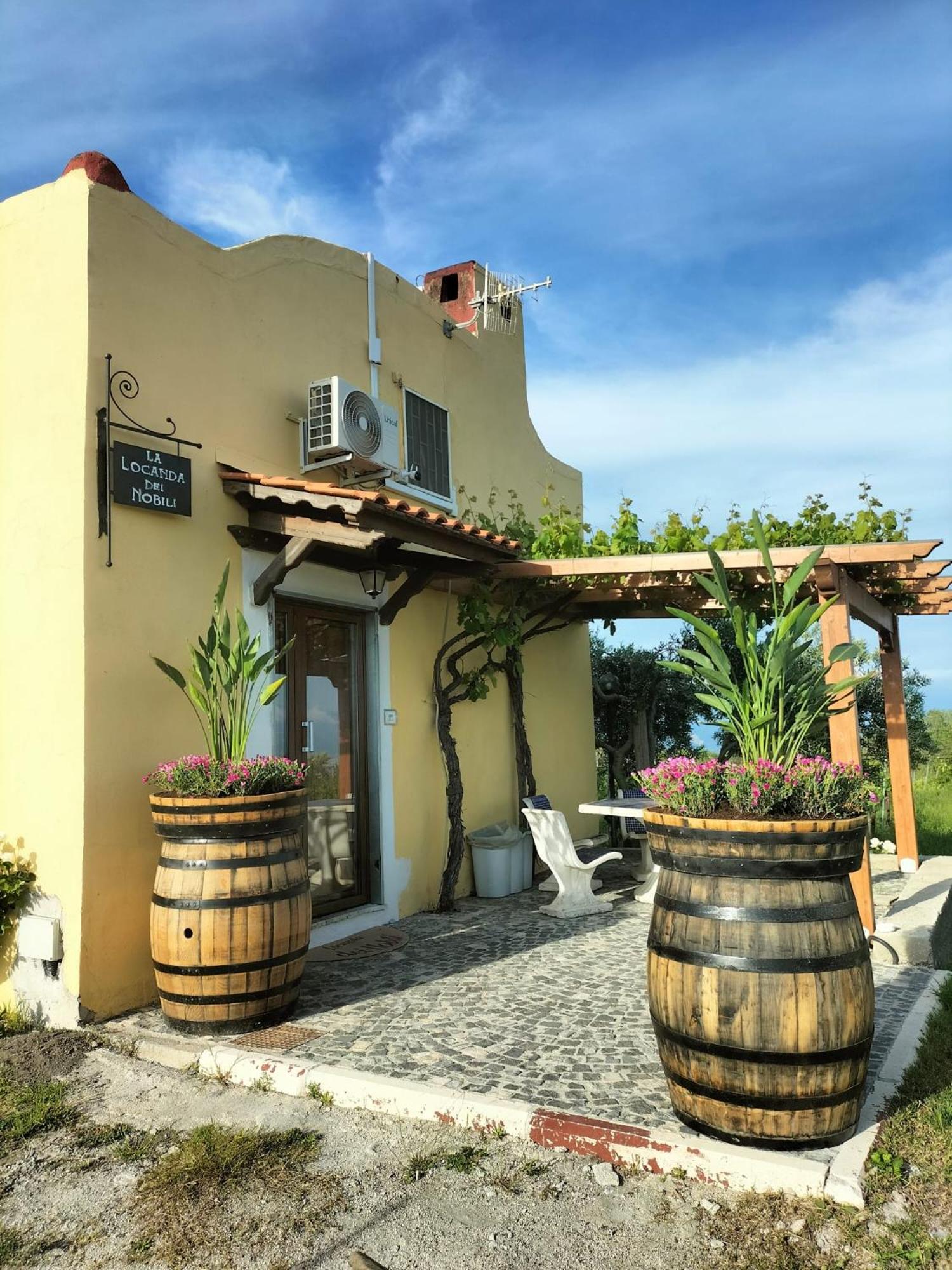 Vesuvio Inn Guest House e Wine Experience, photo 27