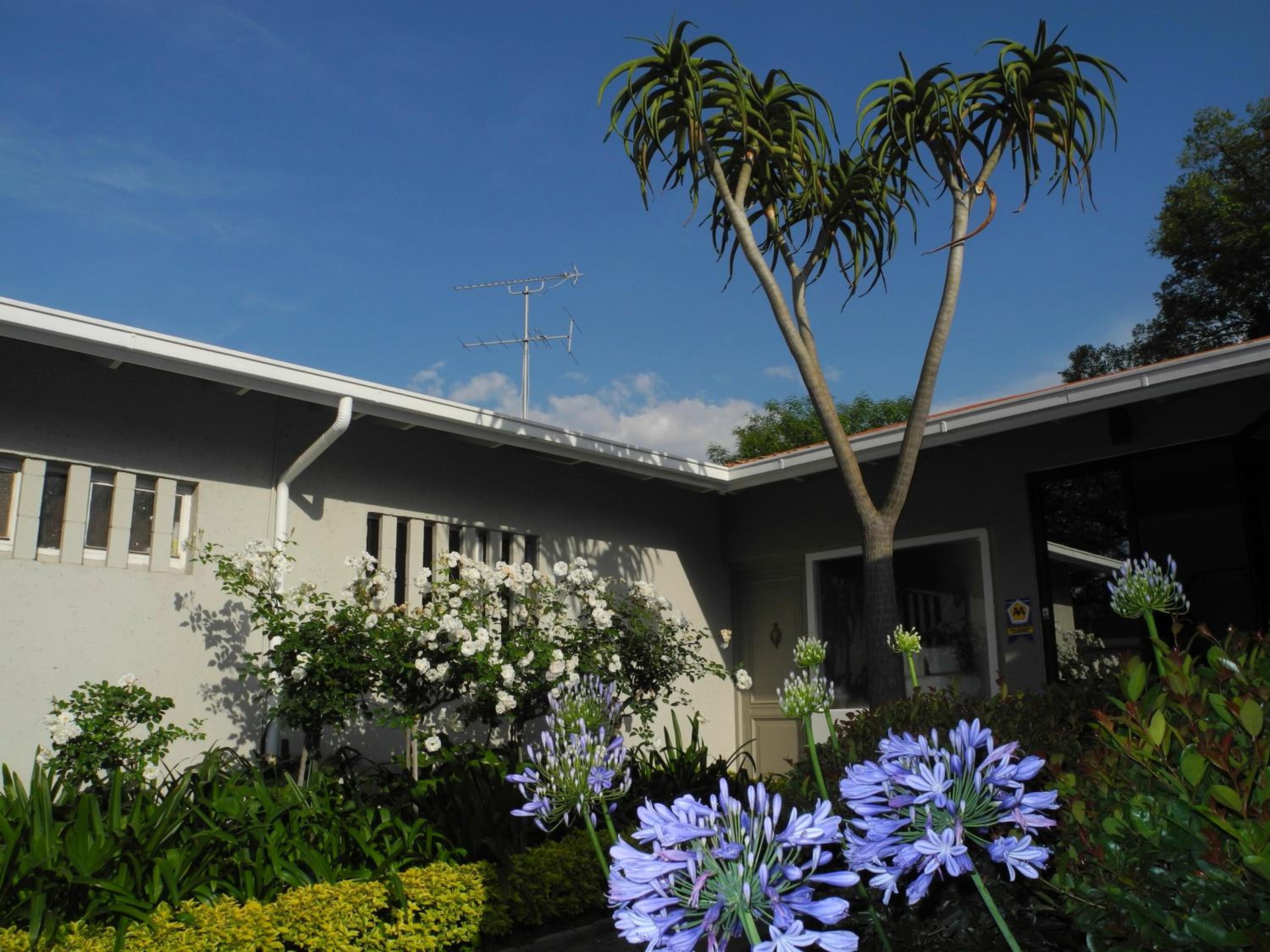 Rosebank Lodge Guesthouse by Claires