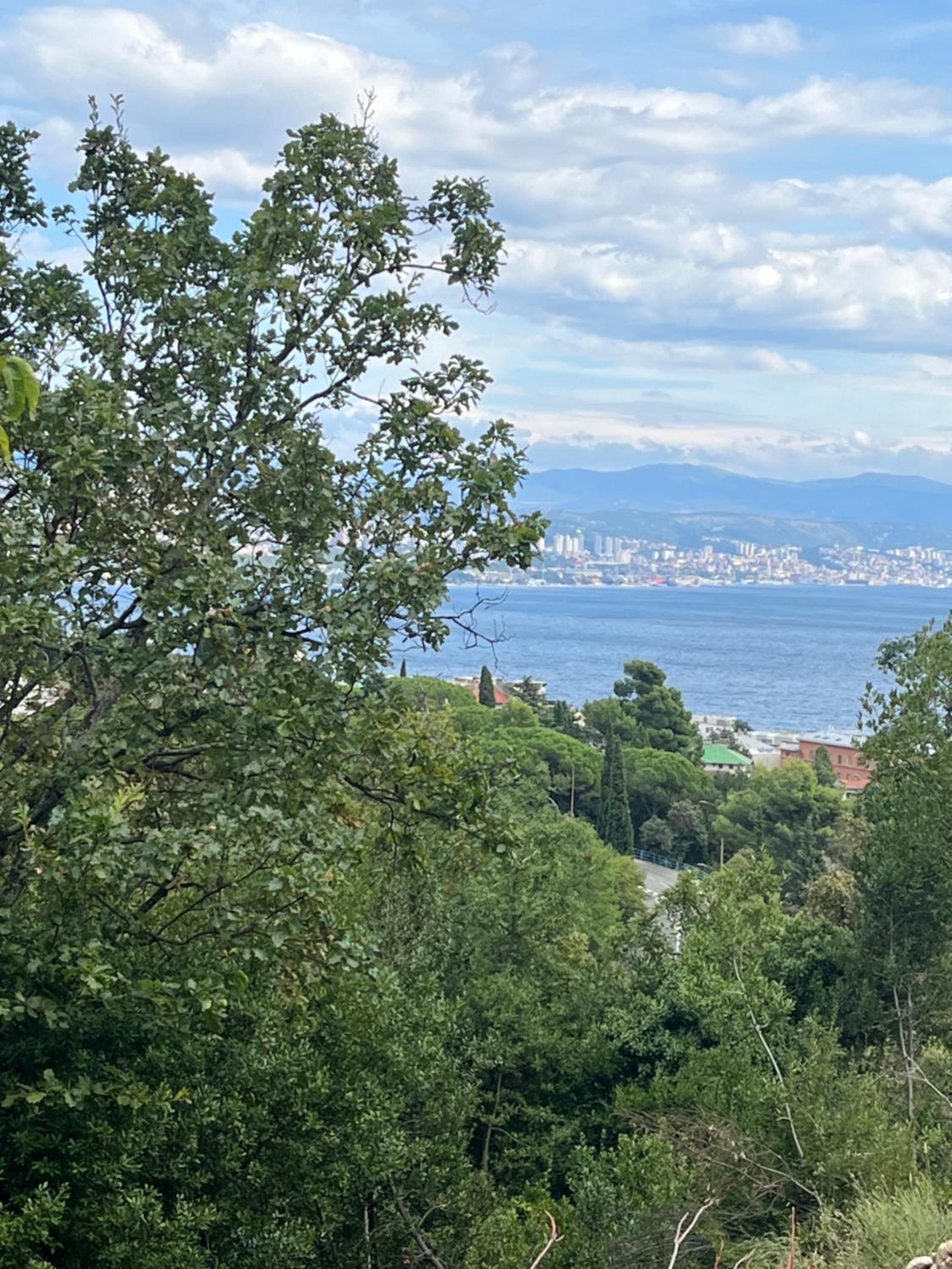 Vista Adriatic