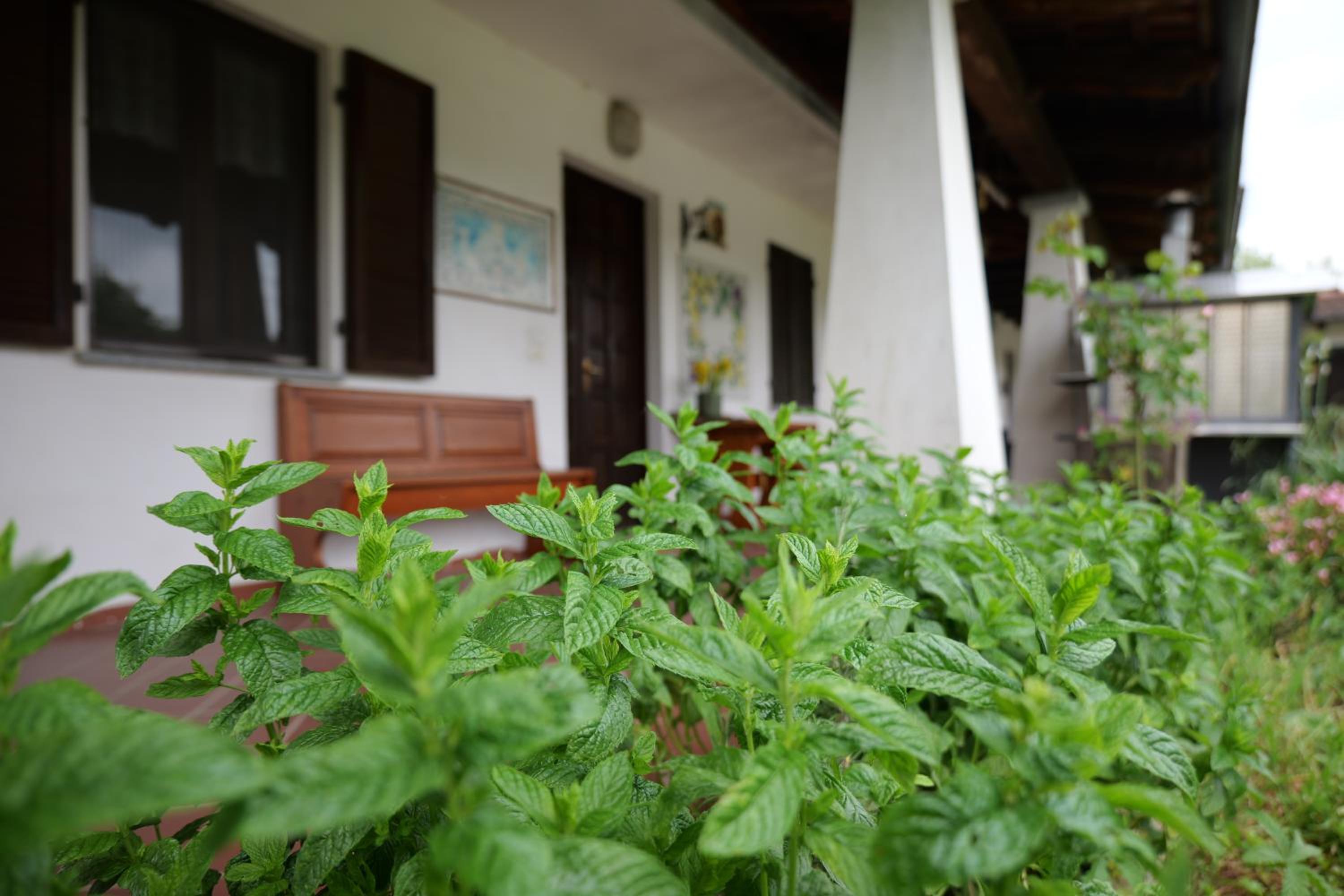 B&b Ponte Pietra