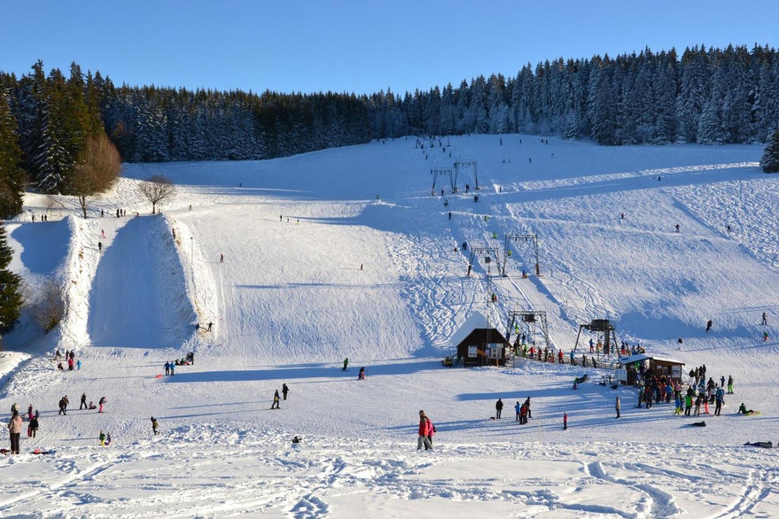 Holiday&Stay Black Forest Pool 85 TV WLAN