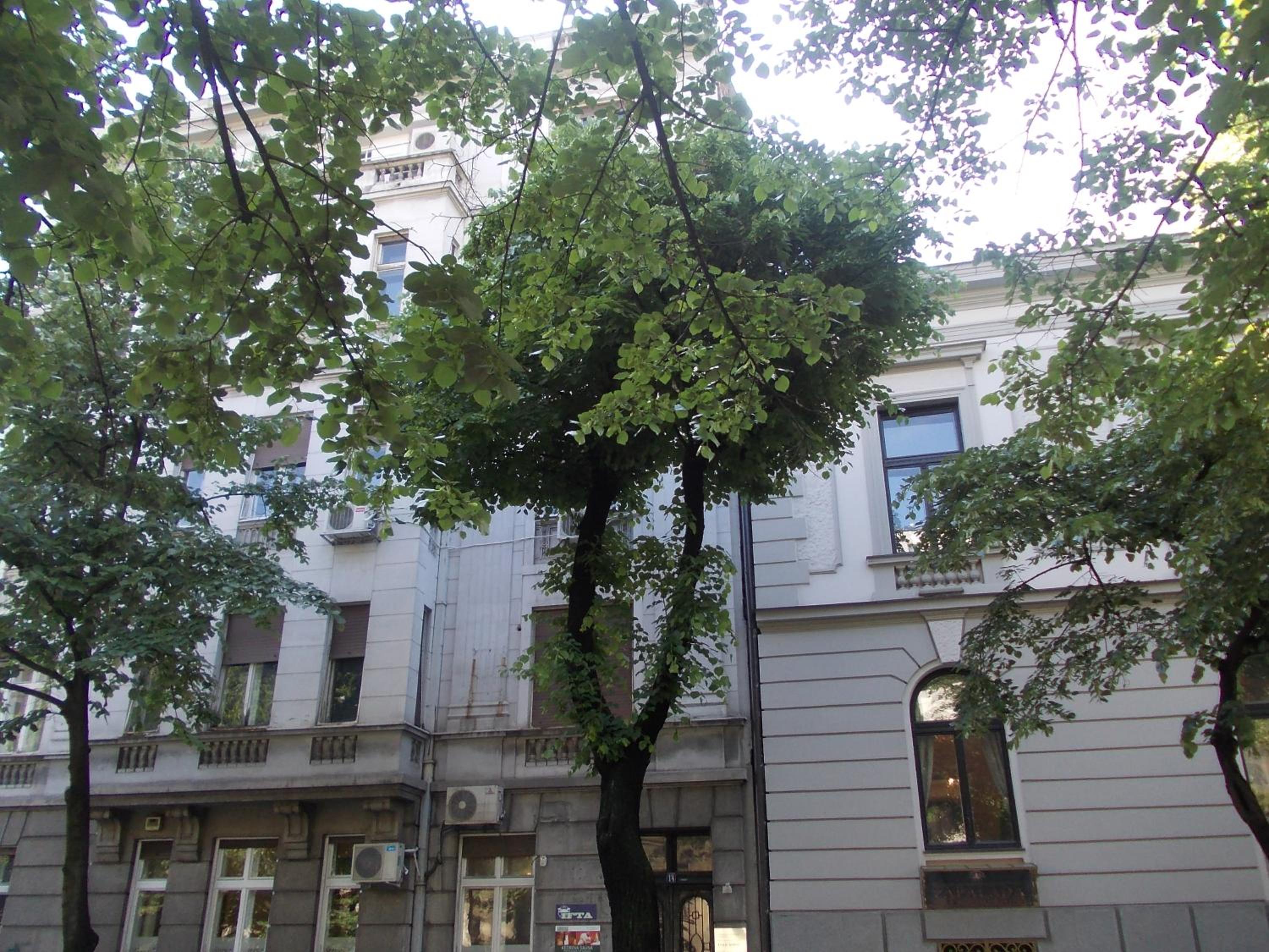 Photo 25