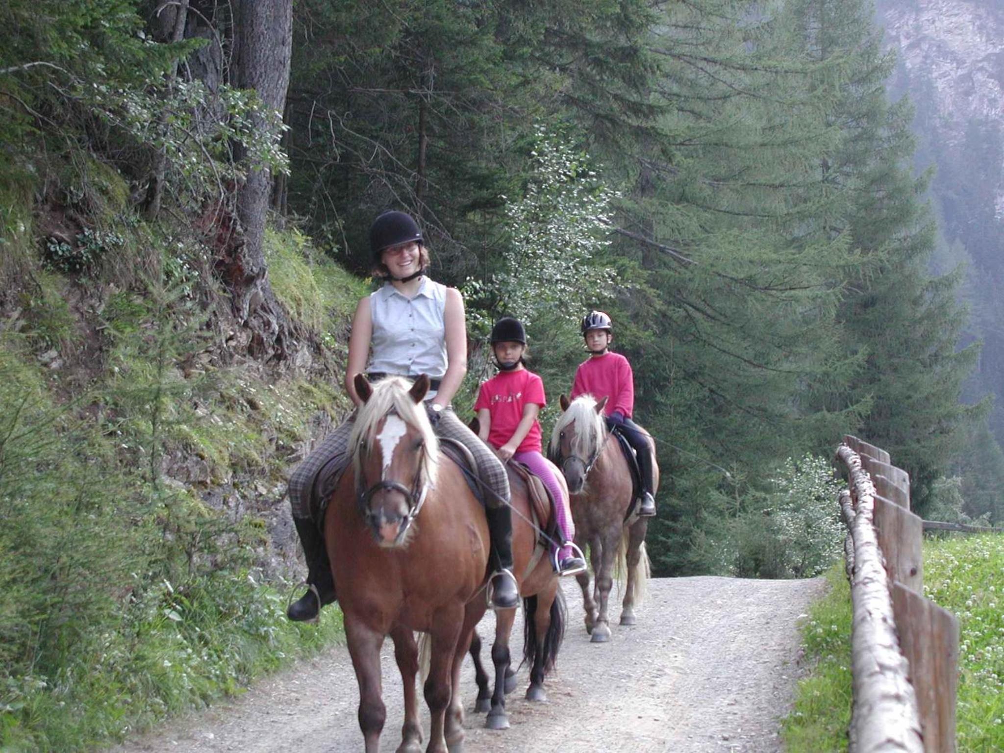 Familienparadies Wolfgangbauer