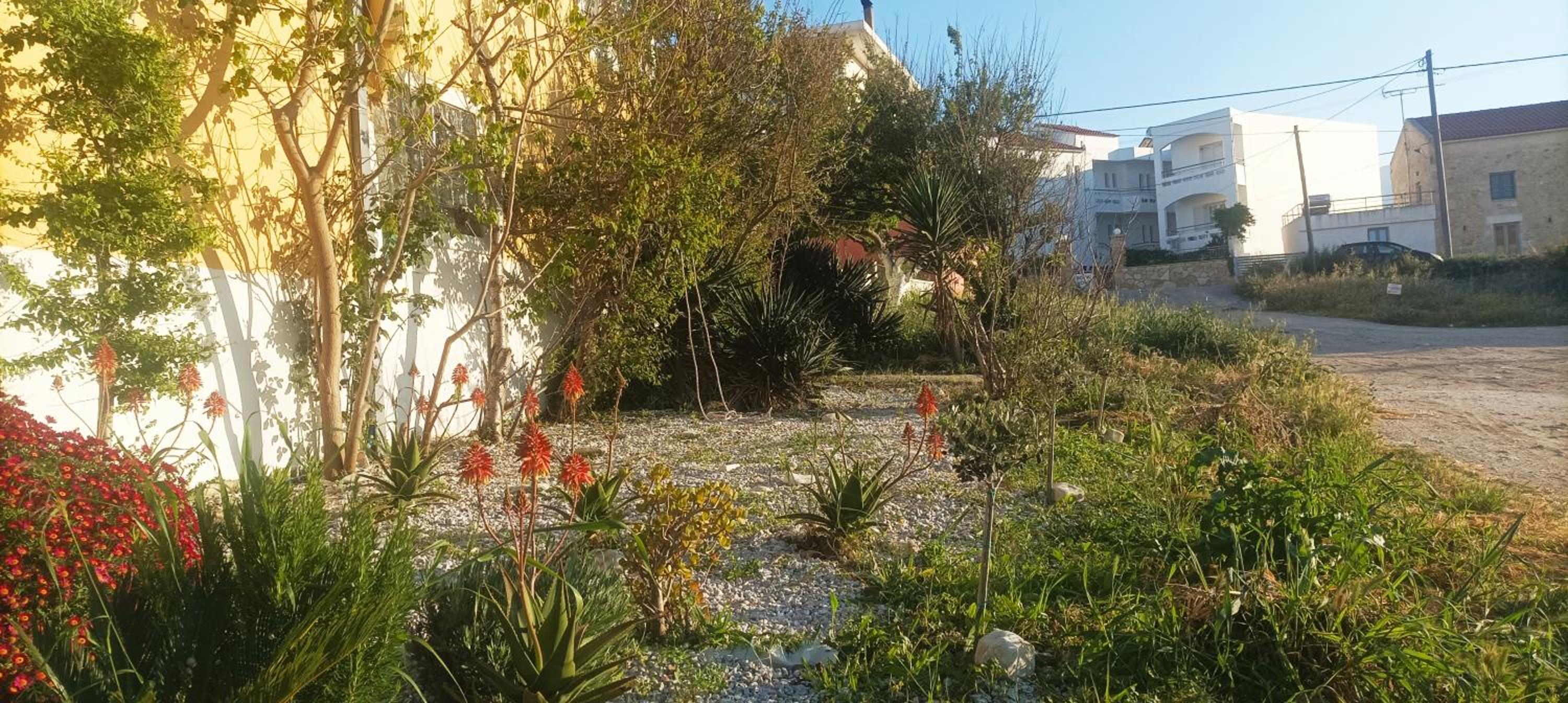 ARETOUSA Seafront House