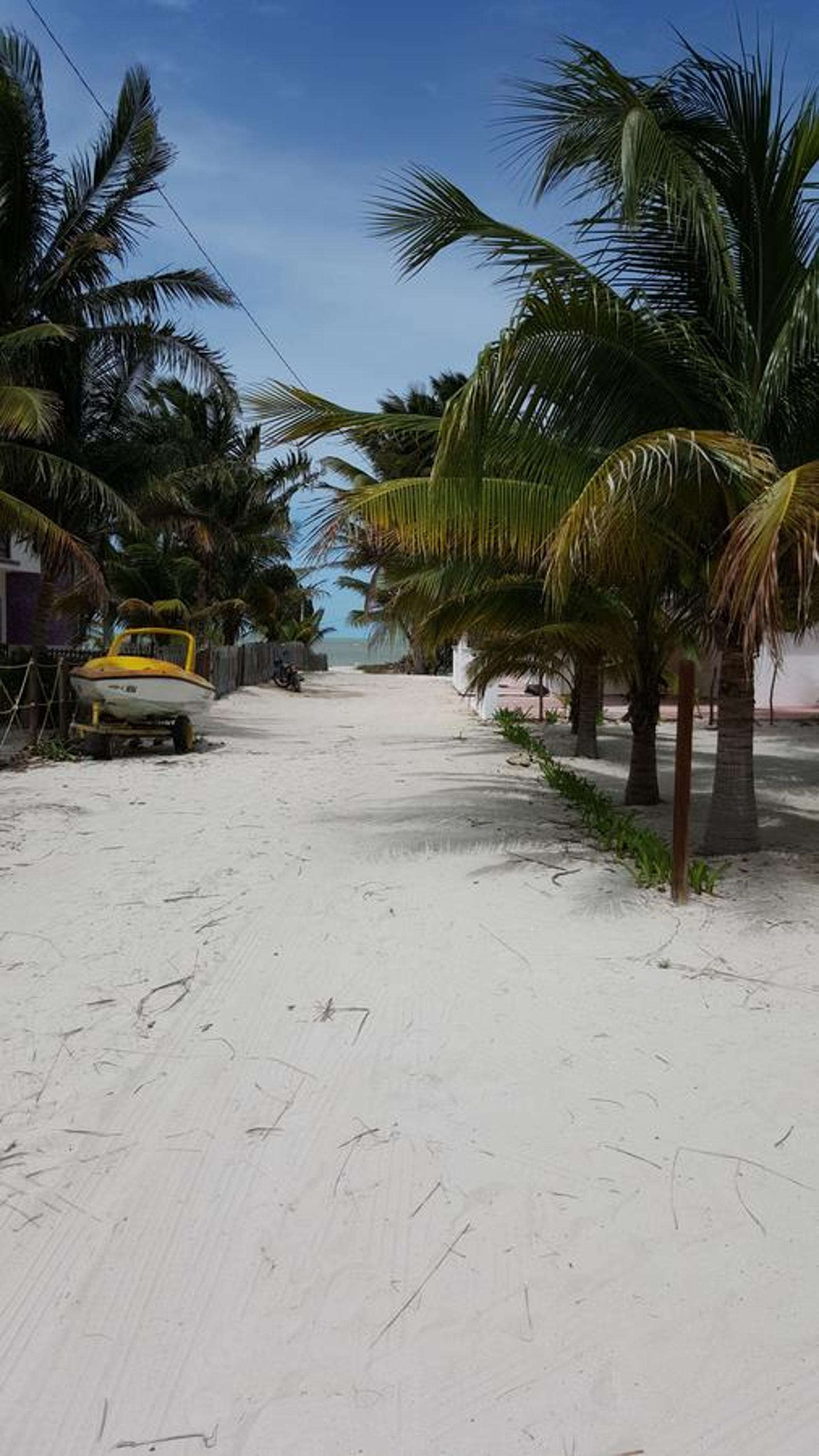Casa De Los Peces