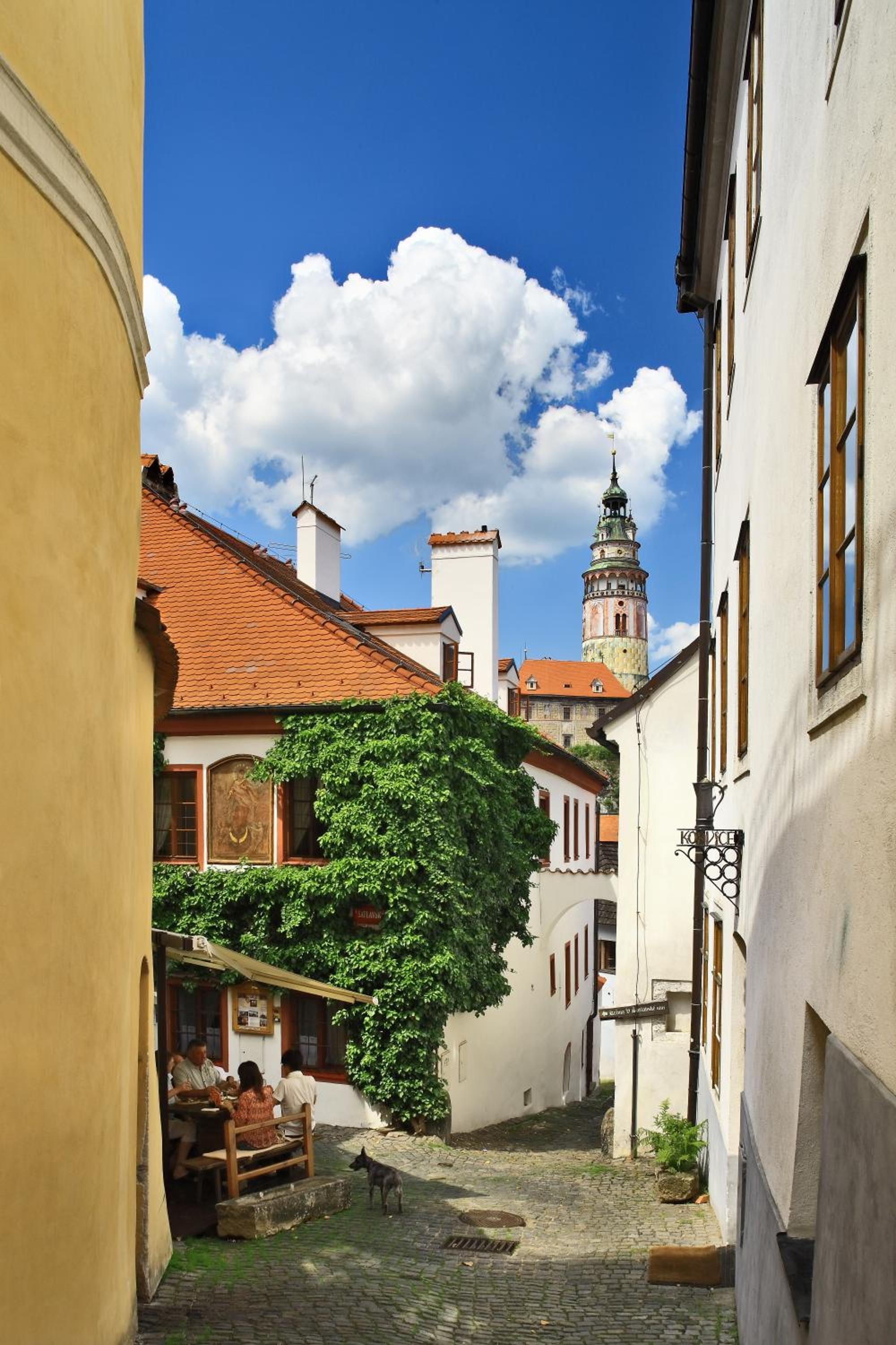 Castle View Apartments