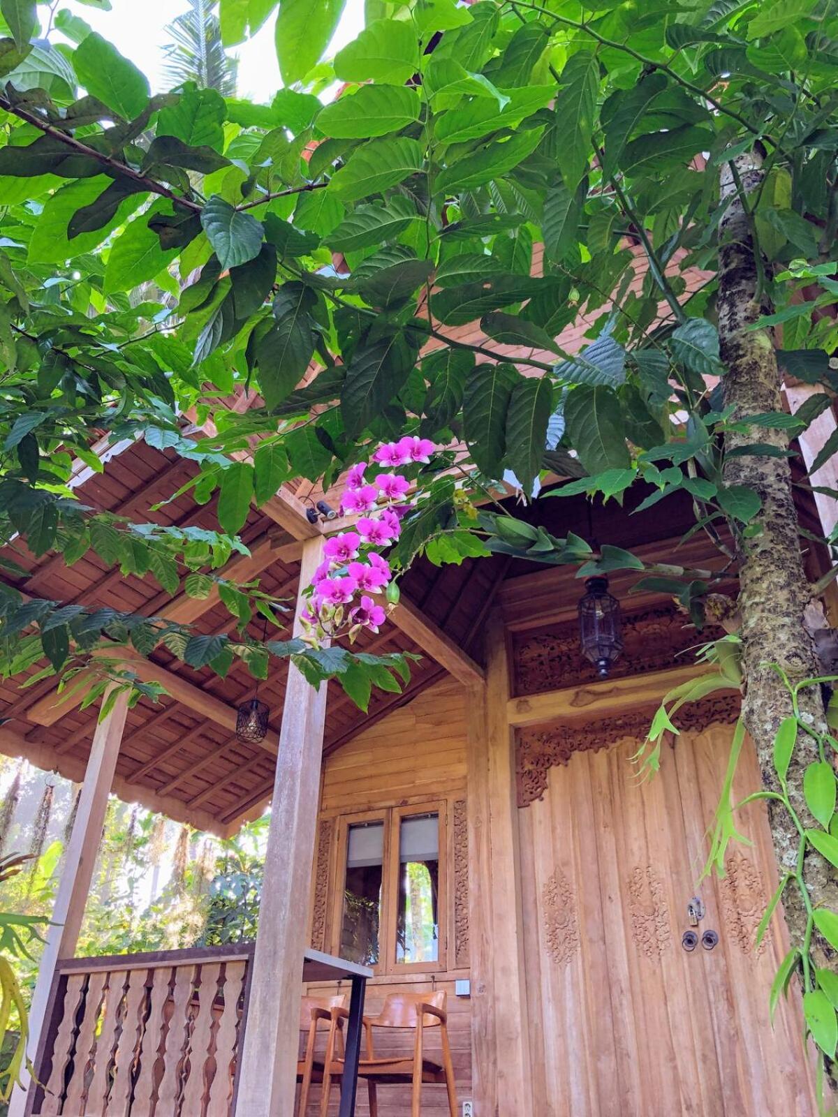 Tresna Bali Luxury Cabins Ubud