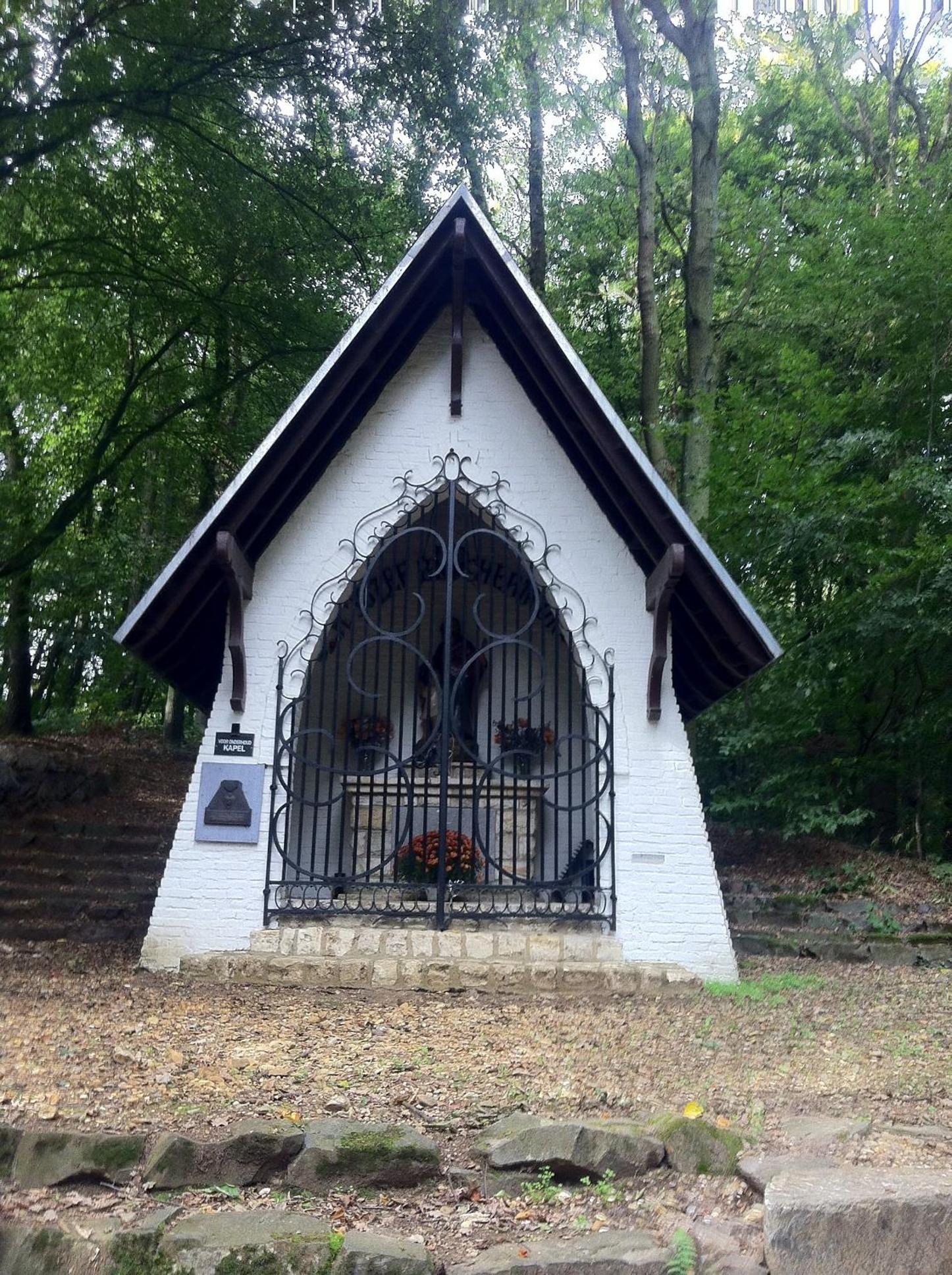 Photo 6