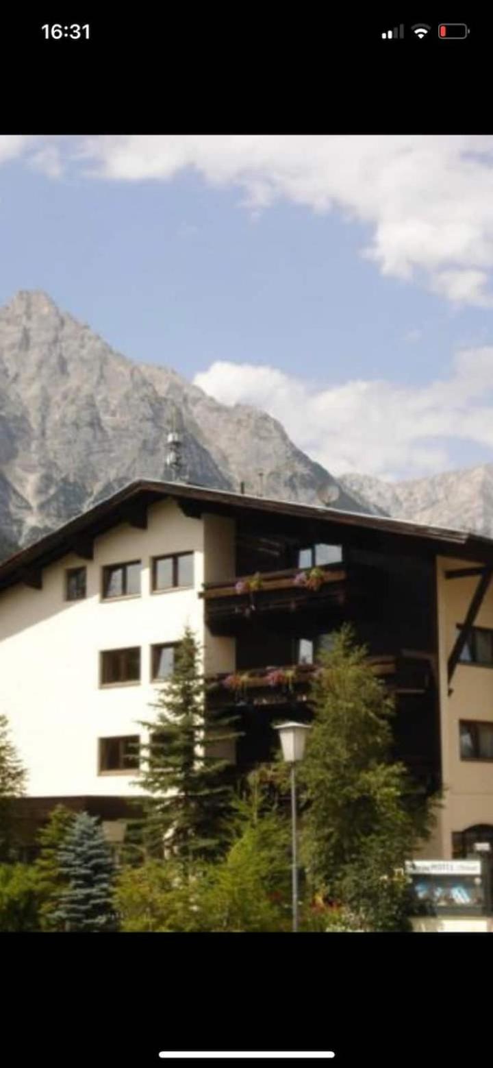 Andys Edelweiss