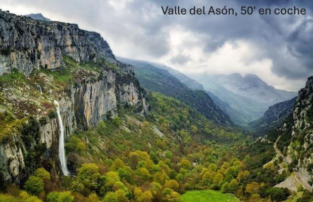 La Mimosa de Hazas, Cantabria Mar y Montaña