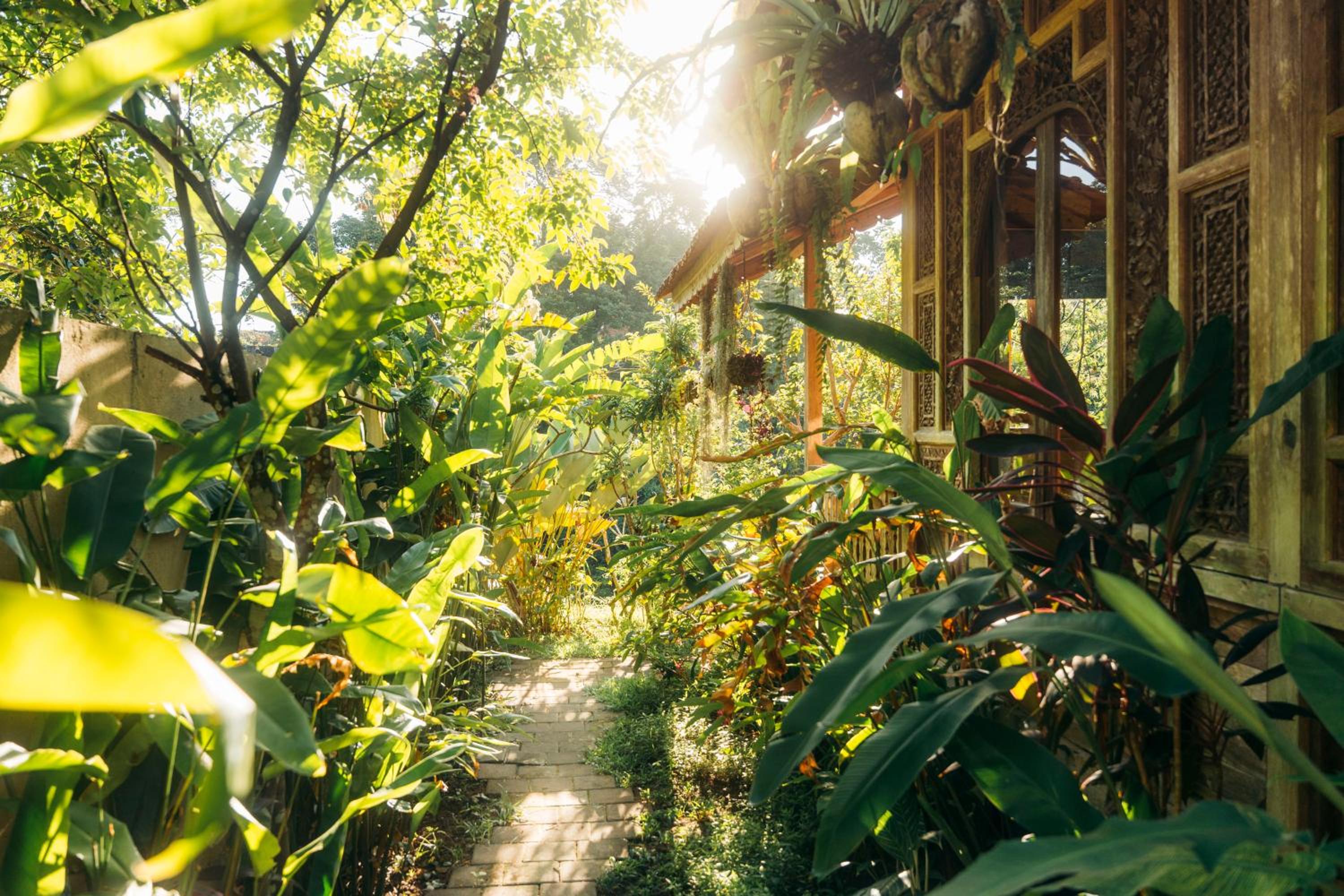 Tresna Bali Luxury Cabins Ubud