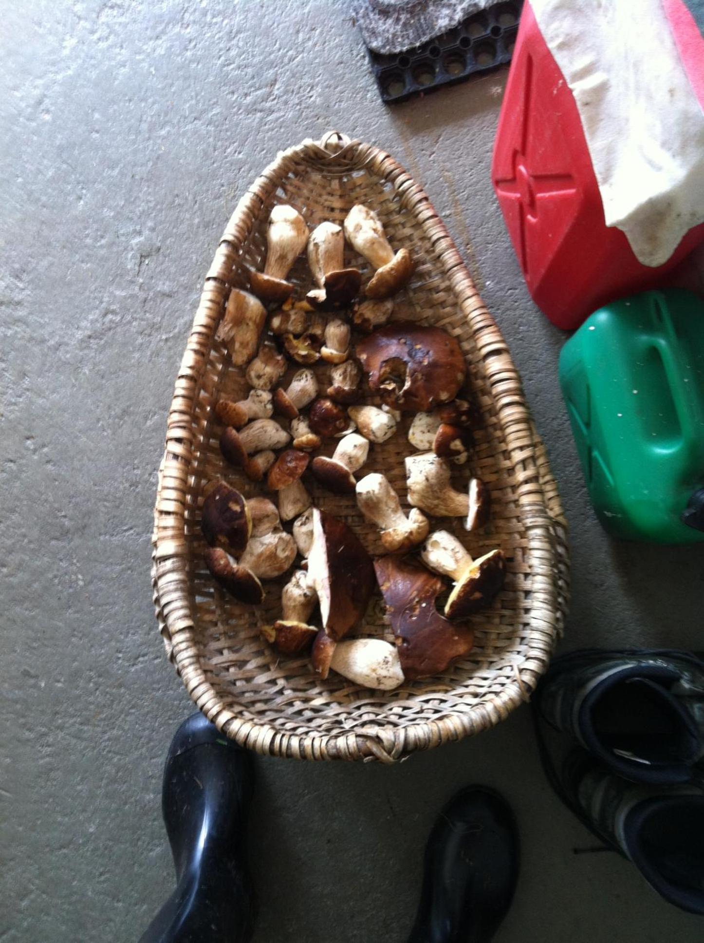 Photo 7